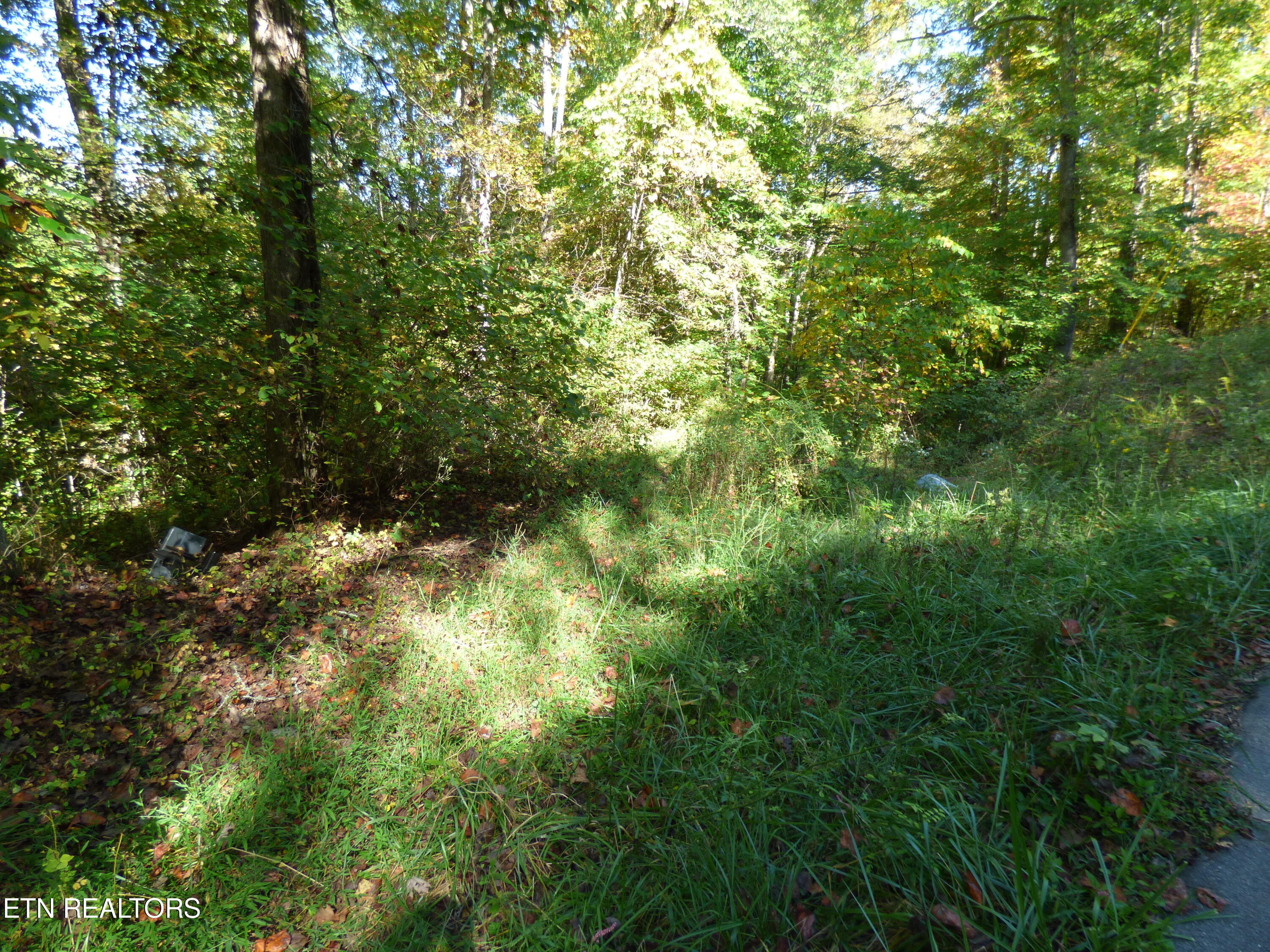 Prentice Street Crossville TN 38555