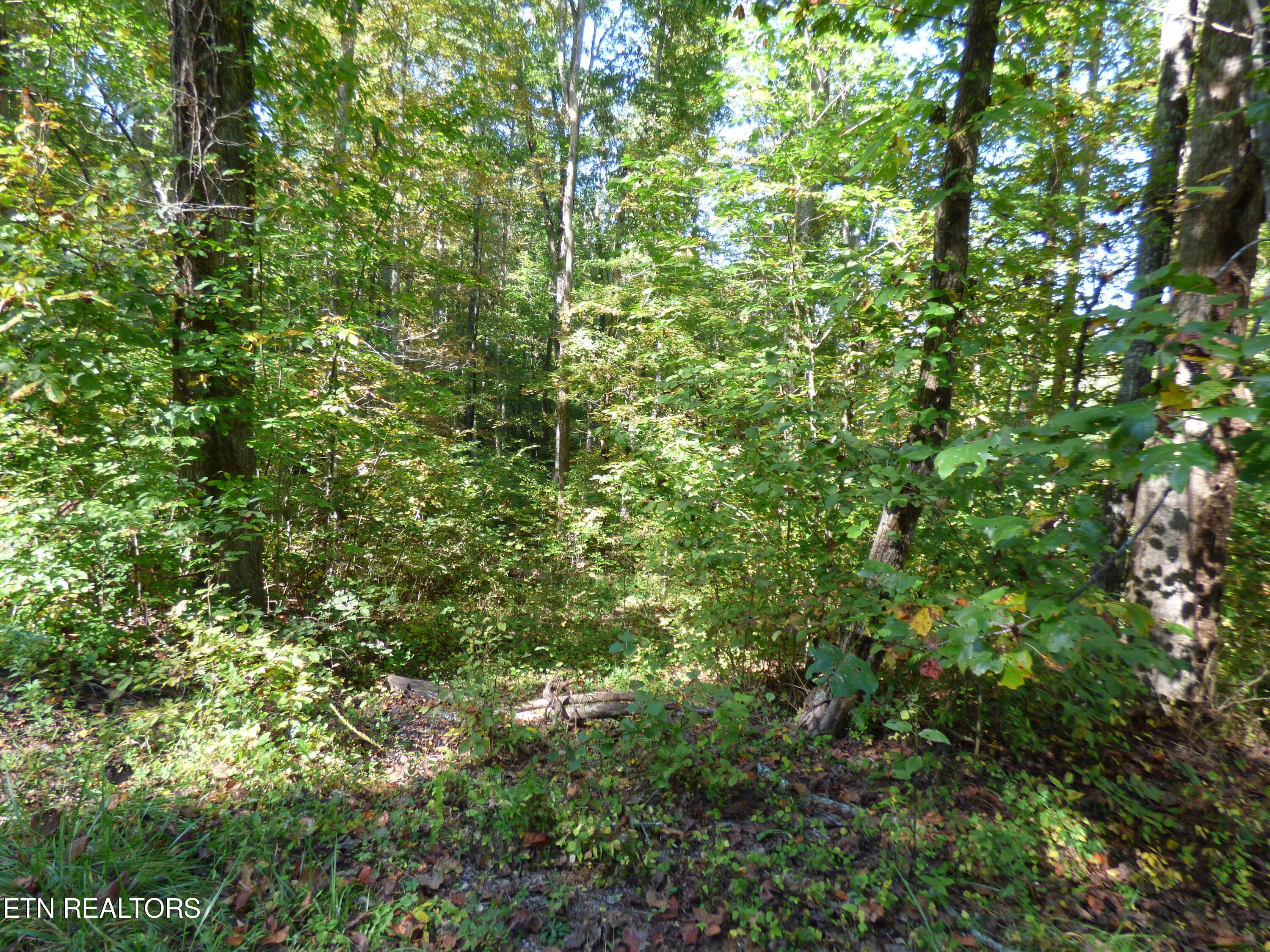 Prentice Street Crossville TN 38555