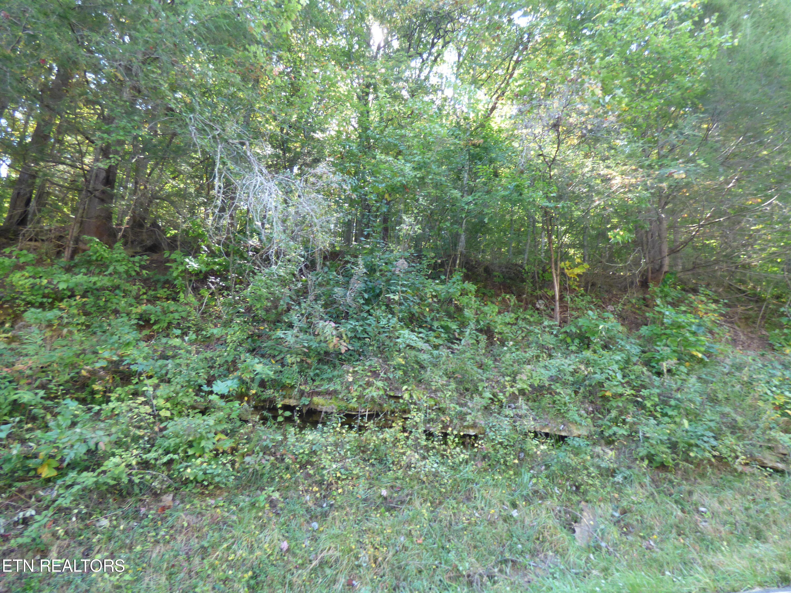 Prentice Street Crossville TN 38555