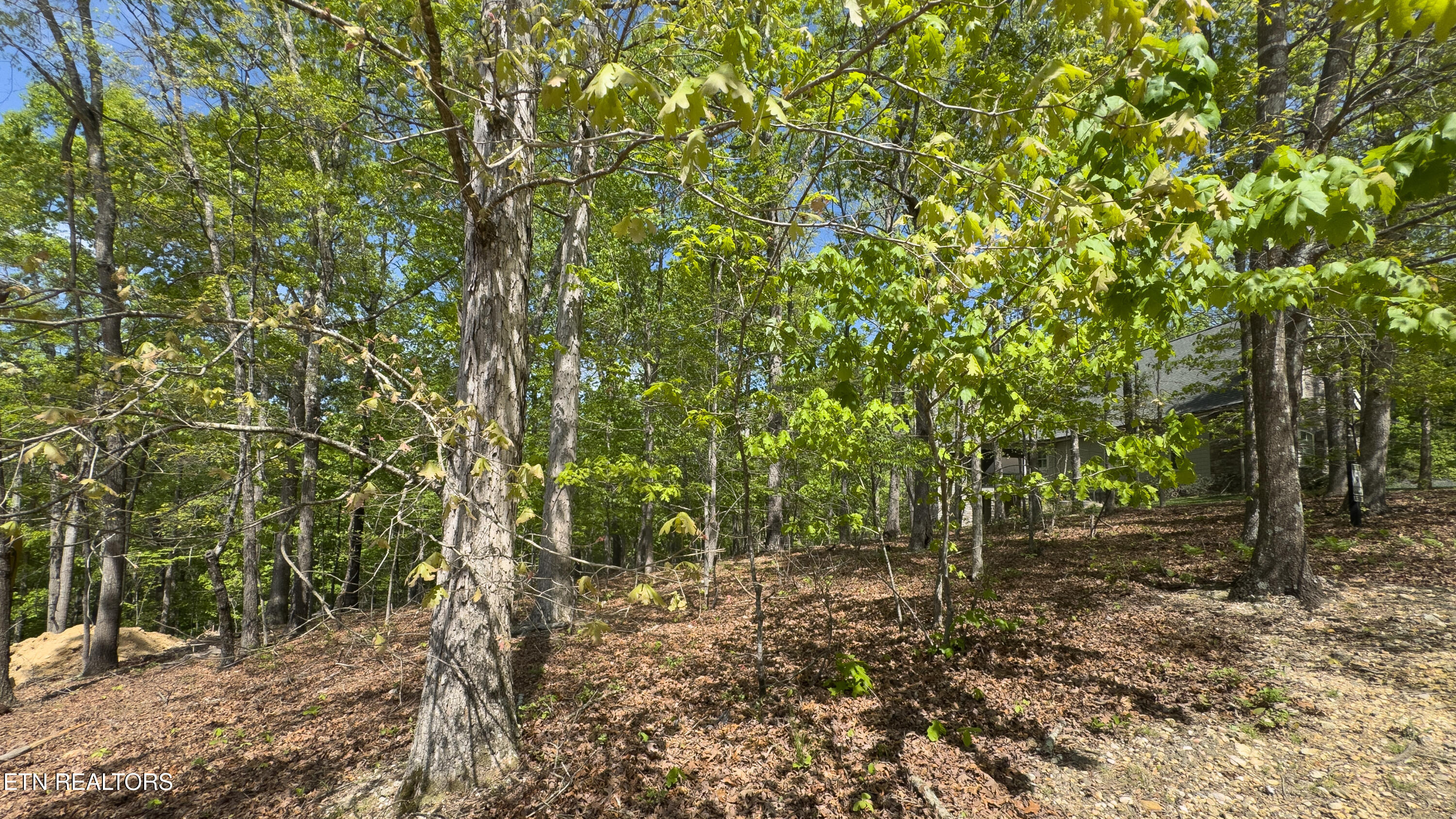 2085 Old Dogwood Trail Loudon TN 37774