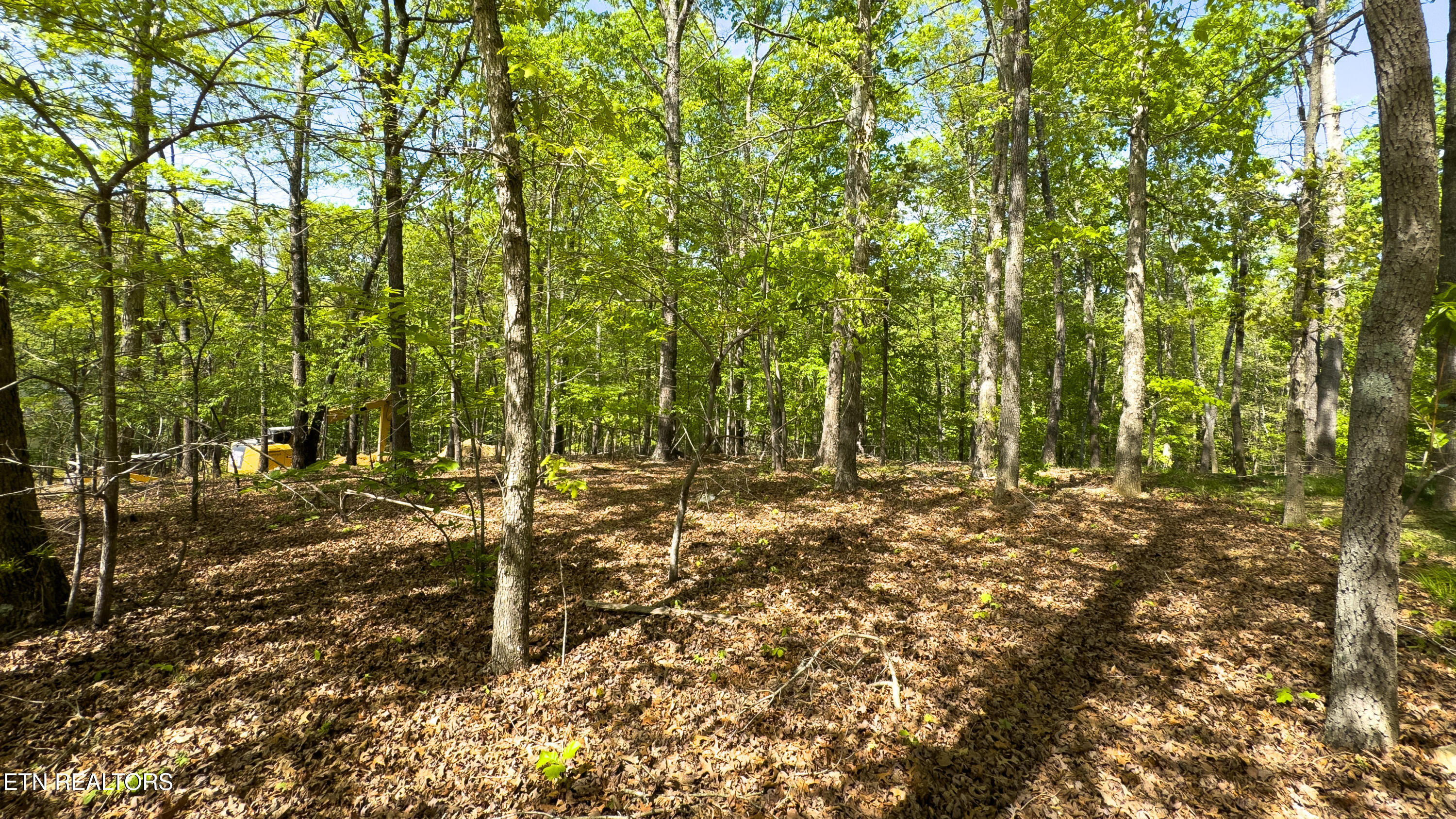 2085 Old Dogwood Trail Loudon TN 37774