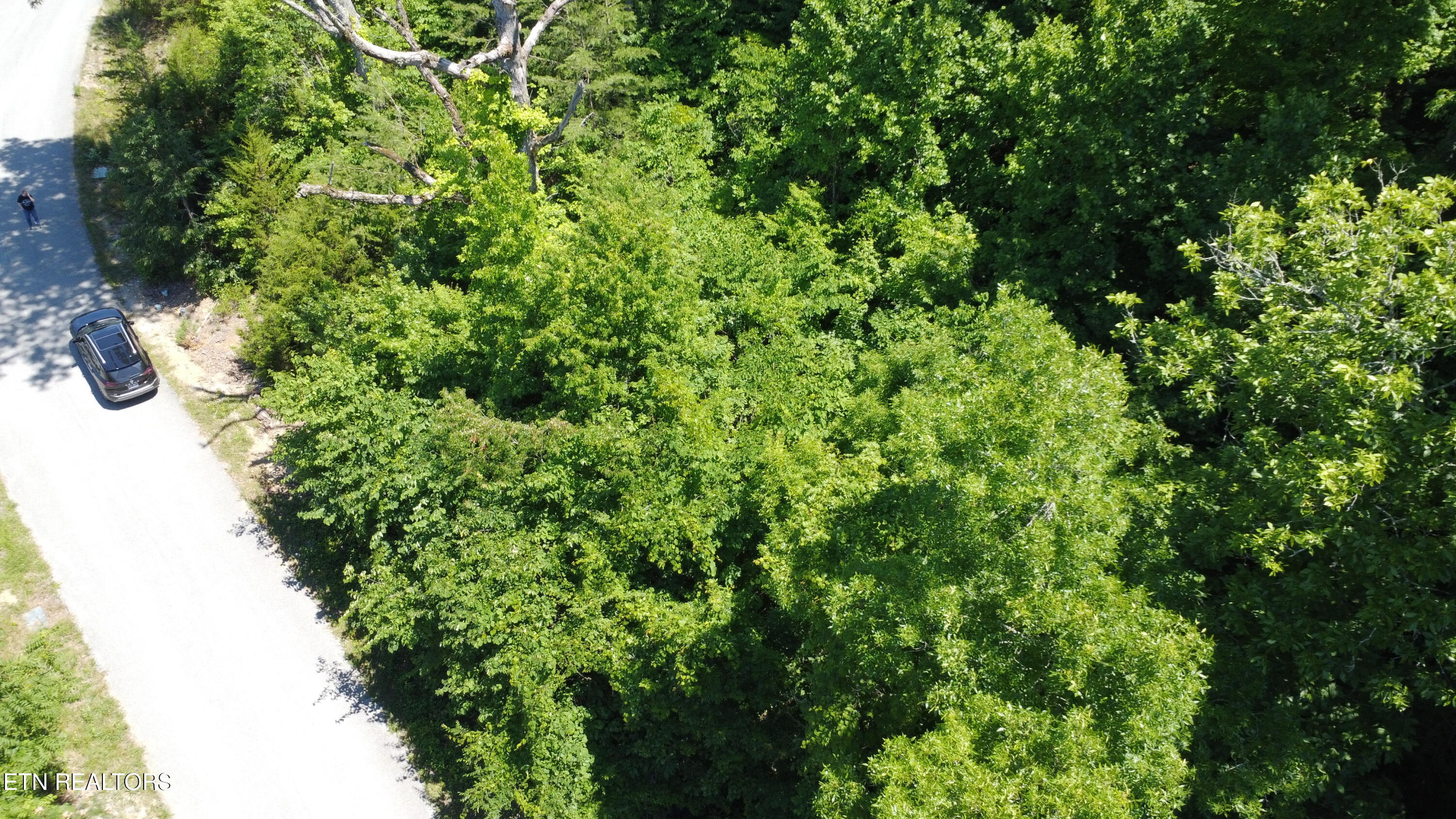 Larayne Hollow Road Sharps Chapel TN 37866