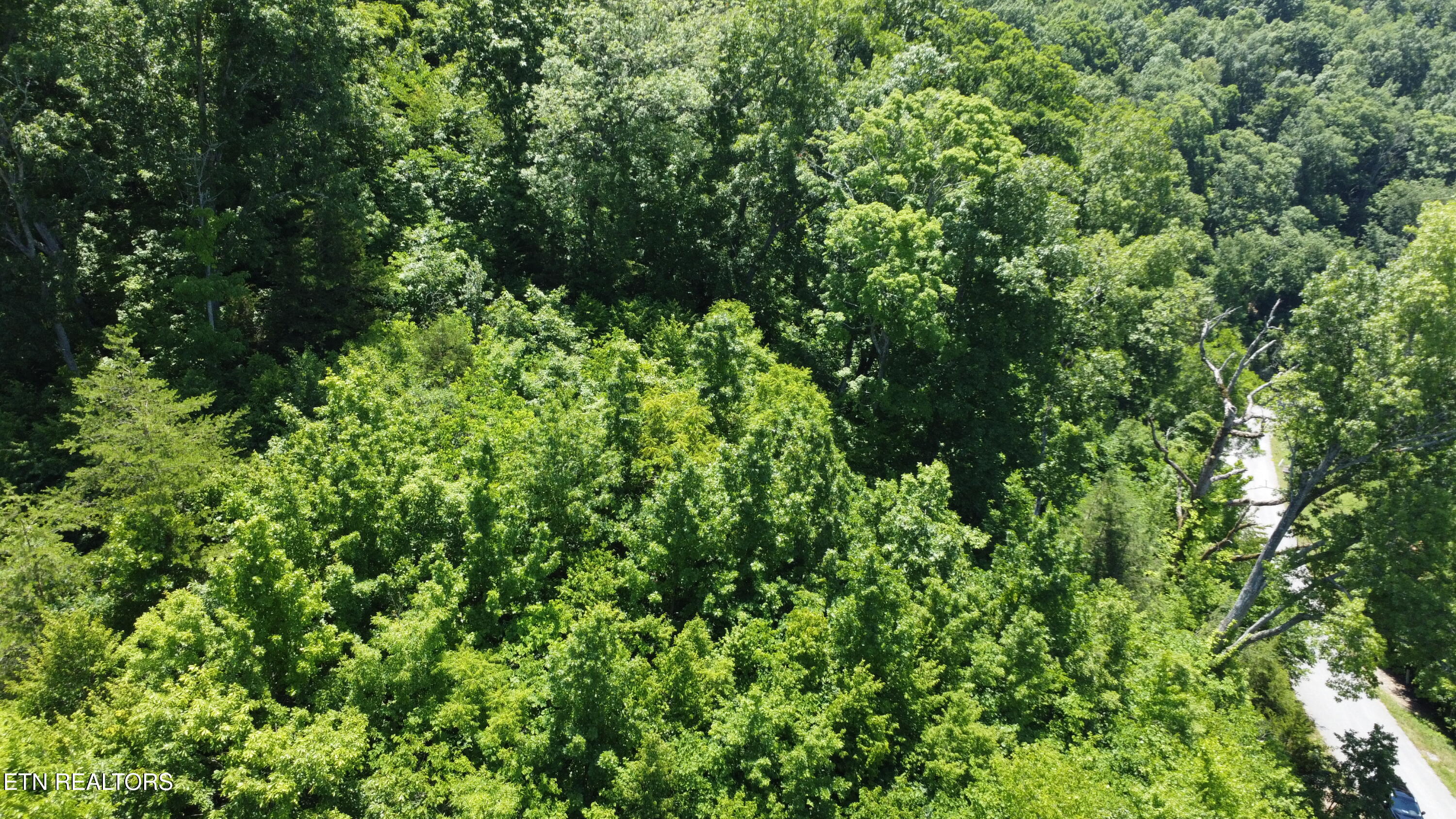 Larayne Hollow Road Sharps Chapel TN 37866
