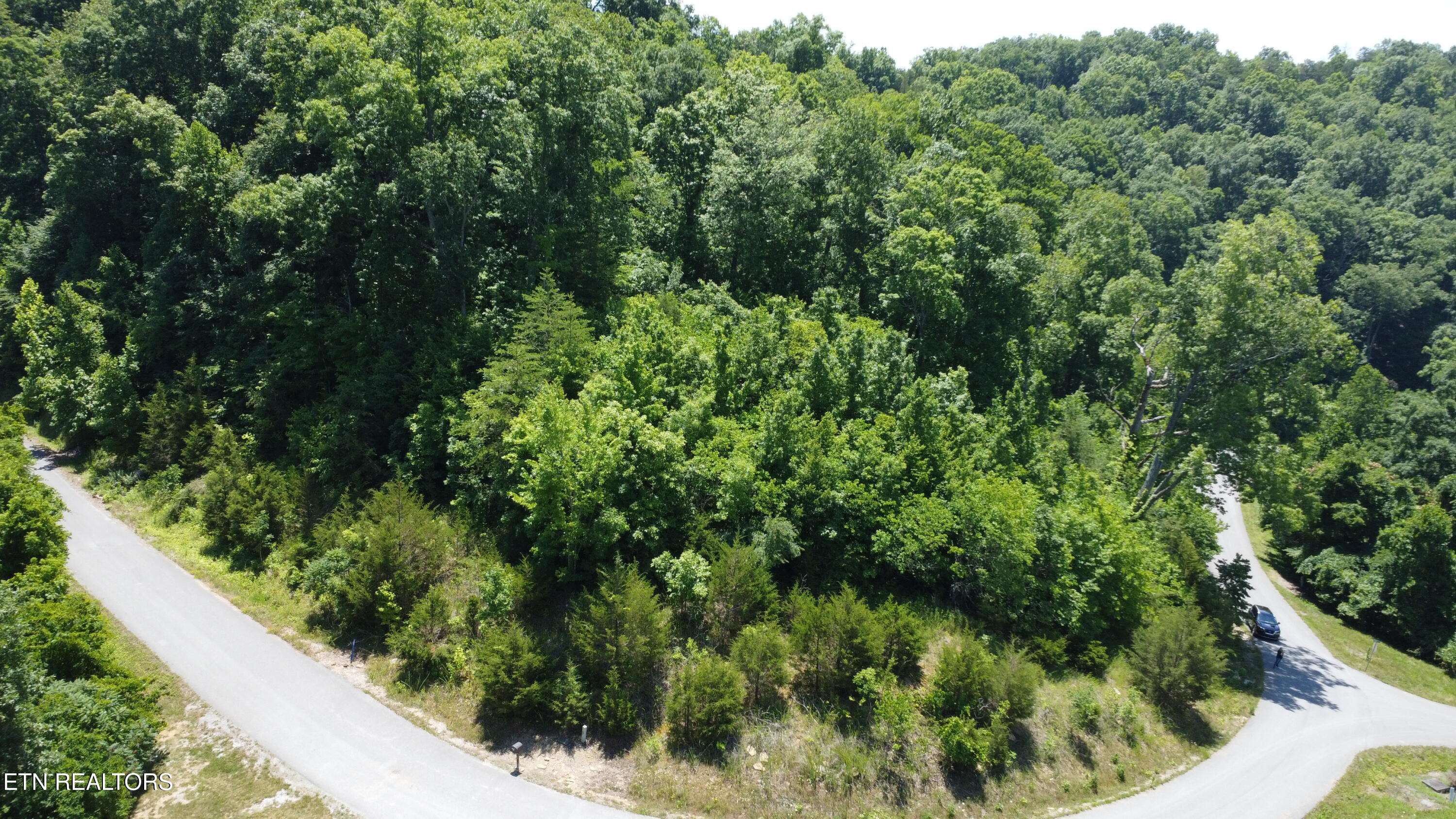 Larayne Hollow Road Sharps Chapel TN 37866