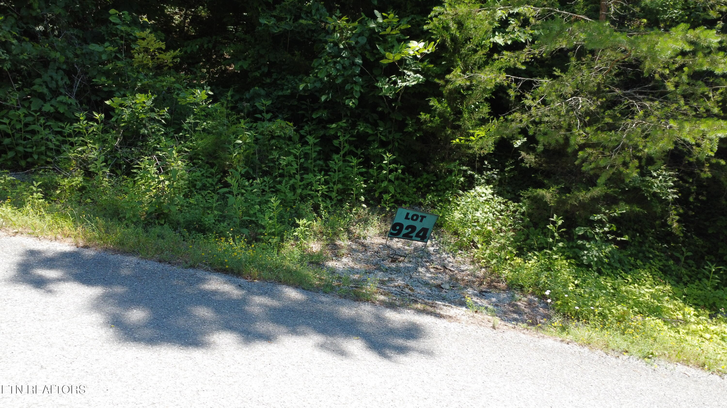 Larayne Hollow Road Sharps Chapel TN 37866