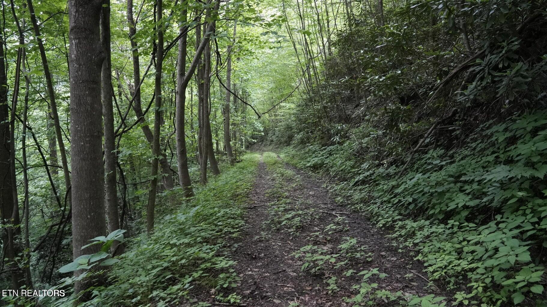 Gulf Road Hartford TN 37753