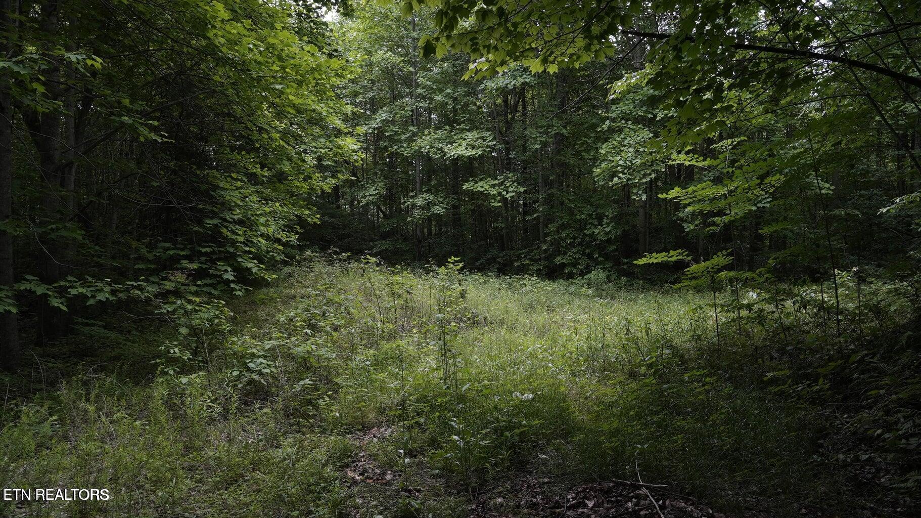 Gulf Road Hartford TN 37753