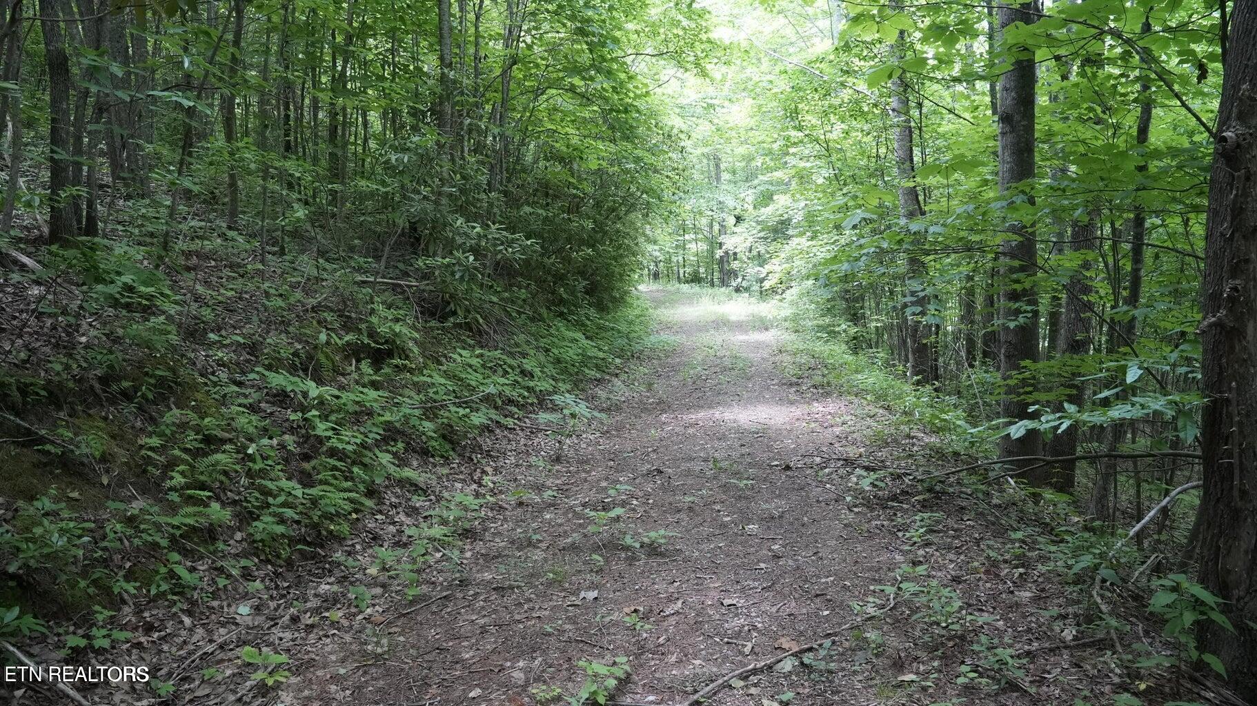Gulf Road Hartford TN 37753