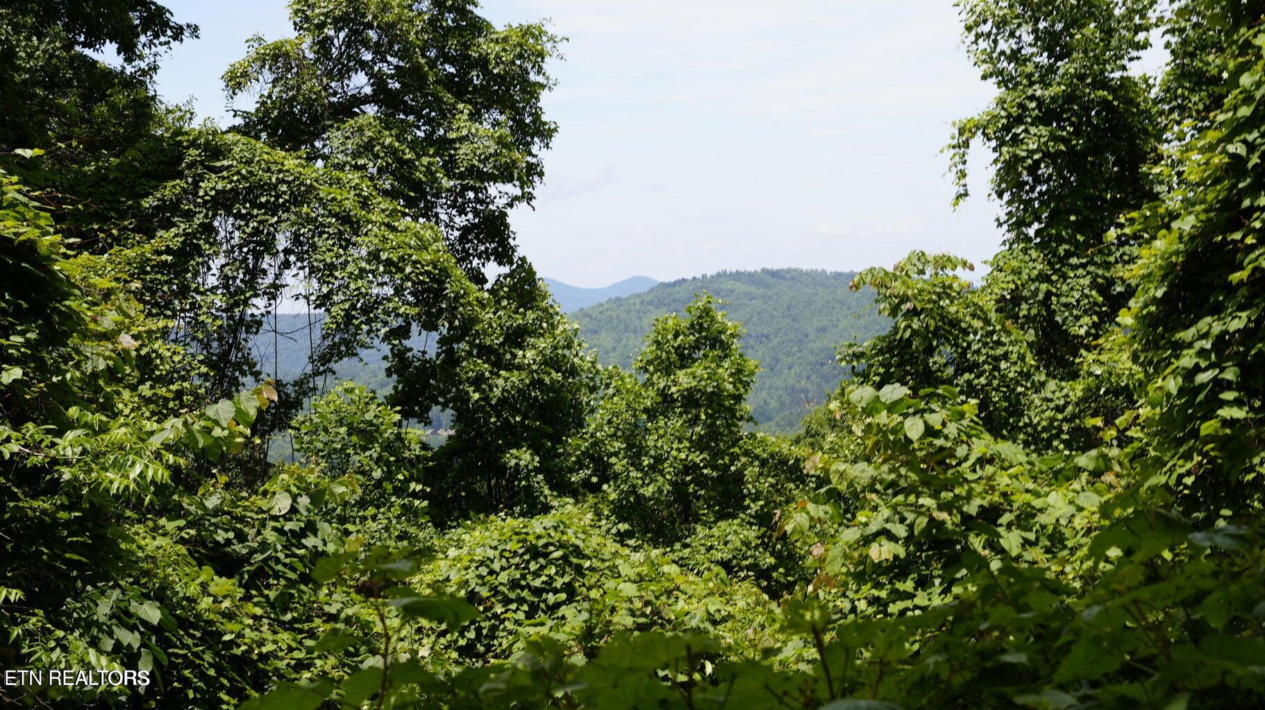 Gulf Road Hartford TN 37753