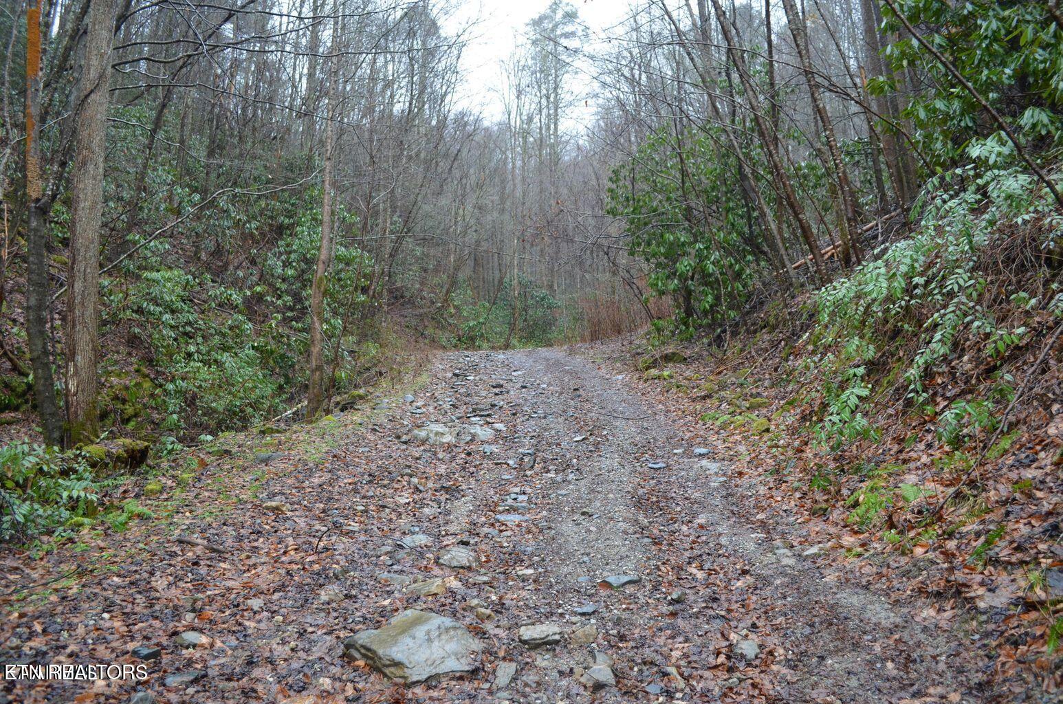 Gulf Road Hartford TN 37753