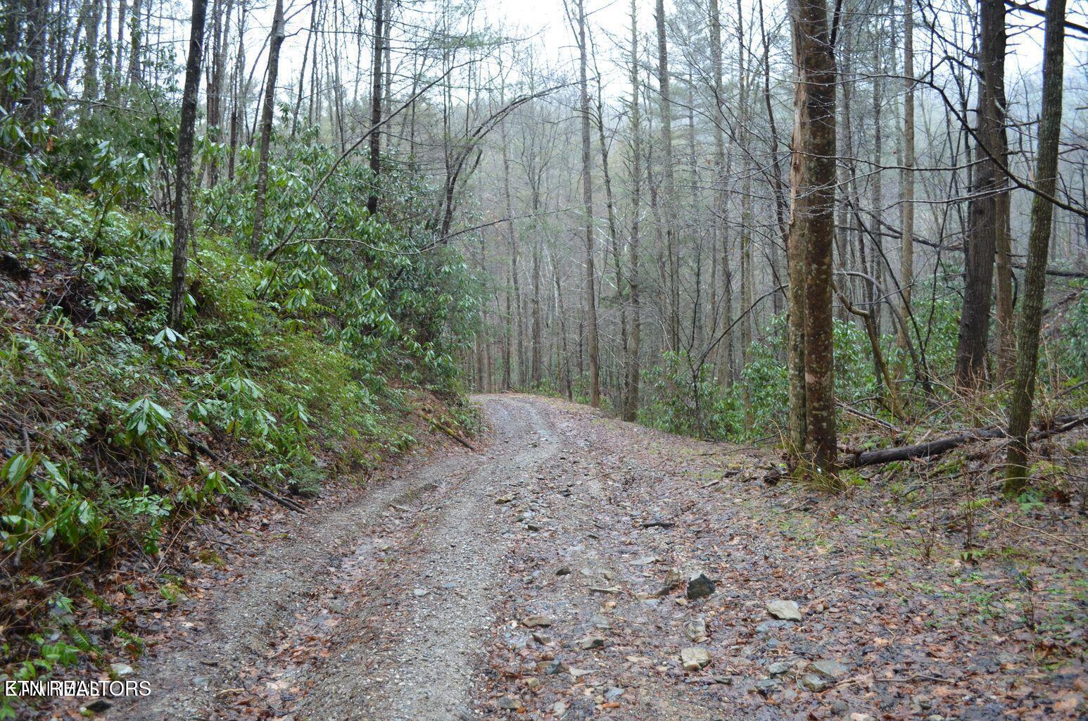 Gulf Road Hartford TN 37753