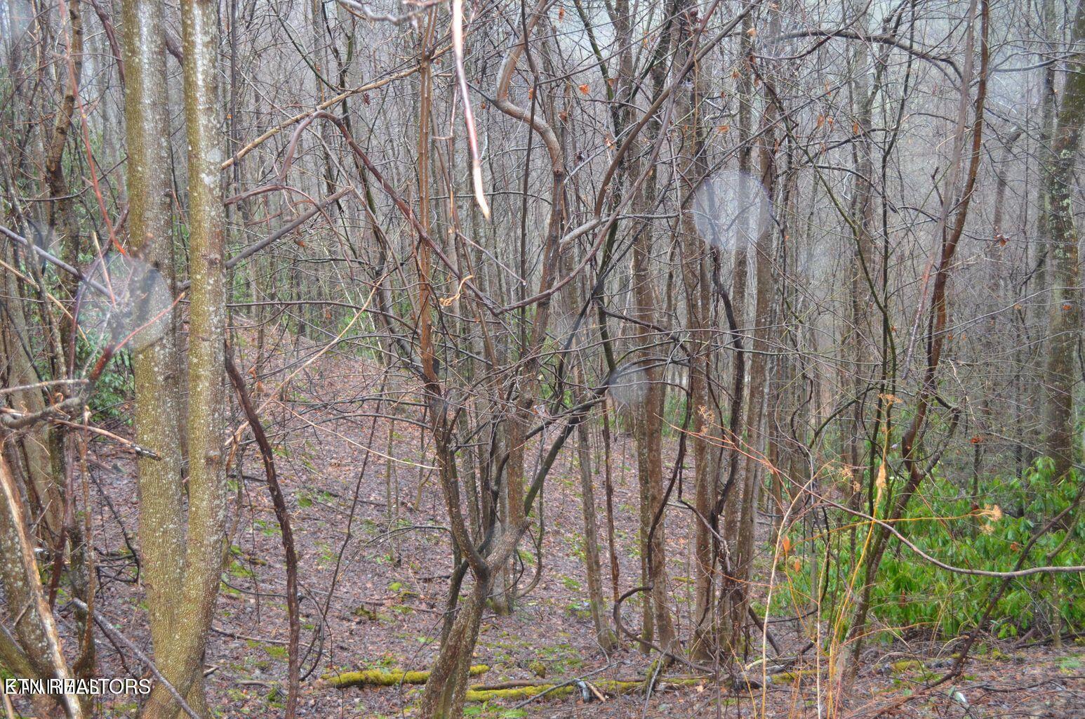 Gulf Road Hartford TN 37753