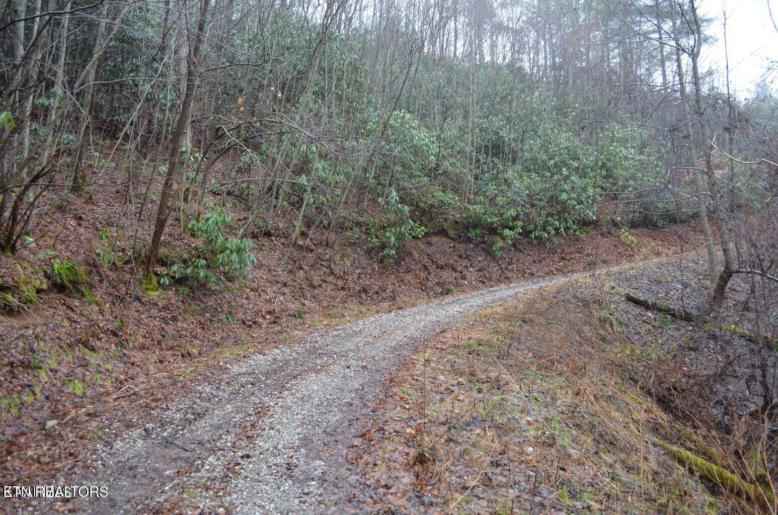 Gulf Road Hartford TN 37753
