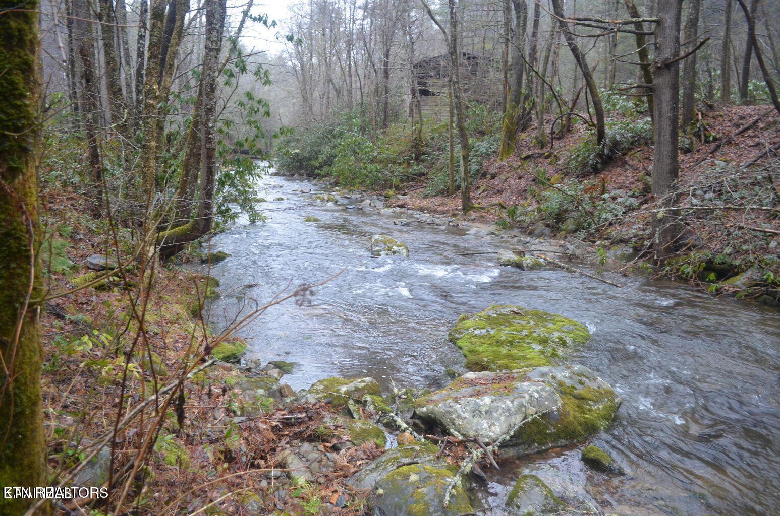 Gulf Road Hartford TN 37753