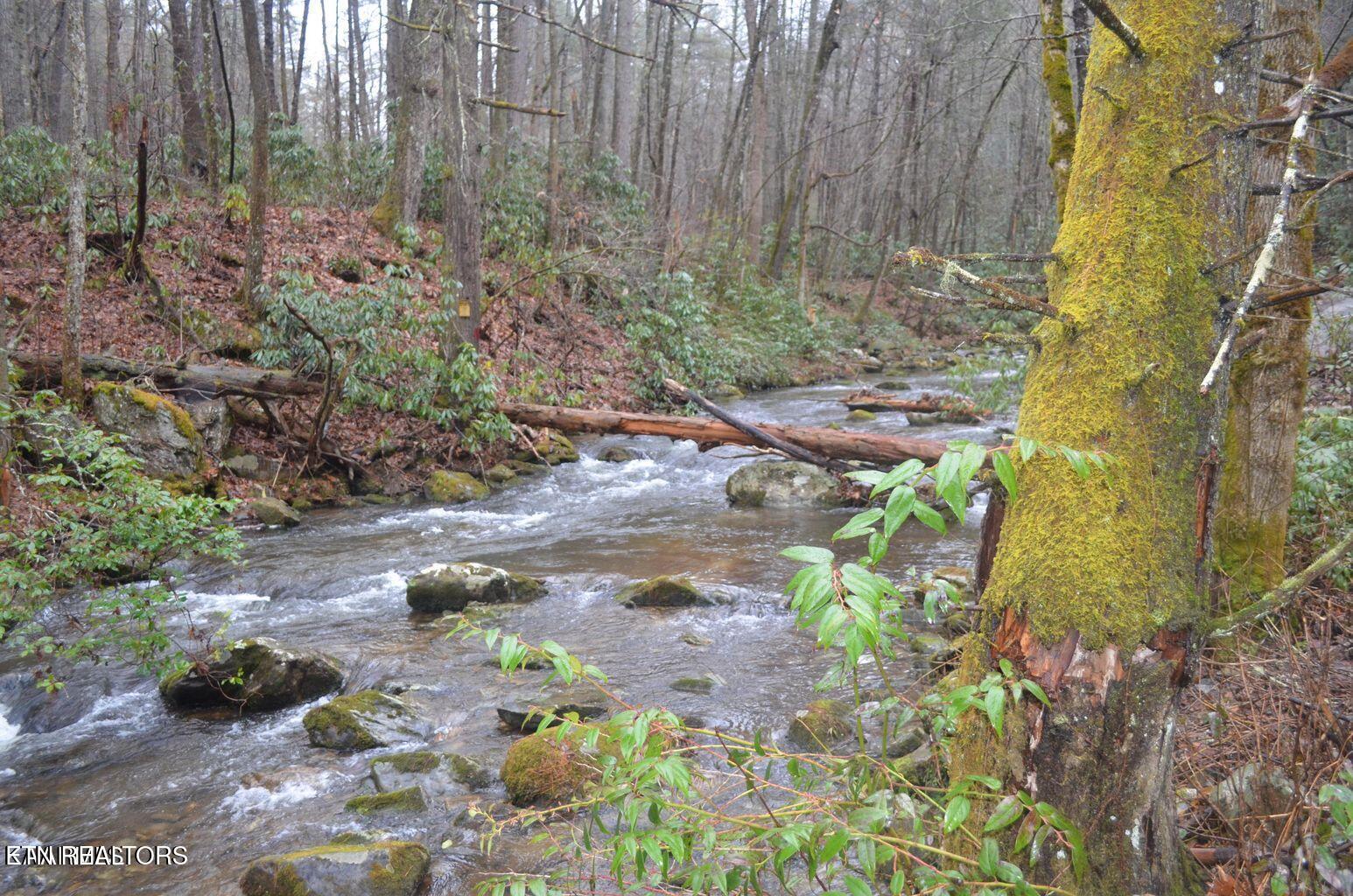 Gulf Road Hartford TN 37753