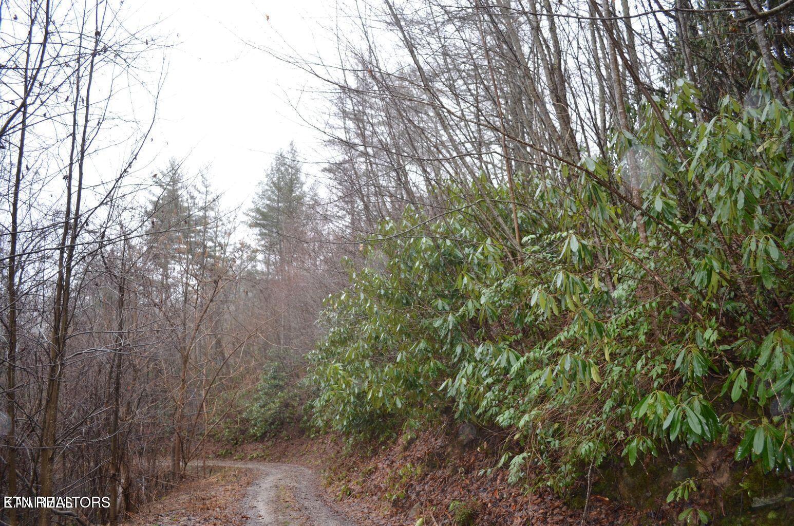 Gulf Road Hartford TN 37753