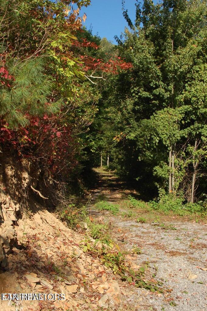 Gulf Road Hartford TN 37753