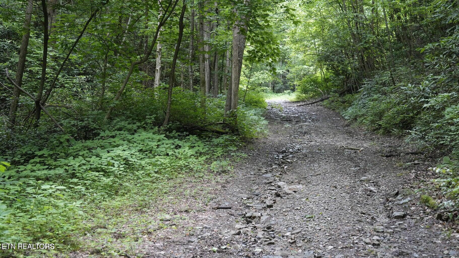Gulf Road Hartford TN 37753