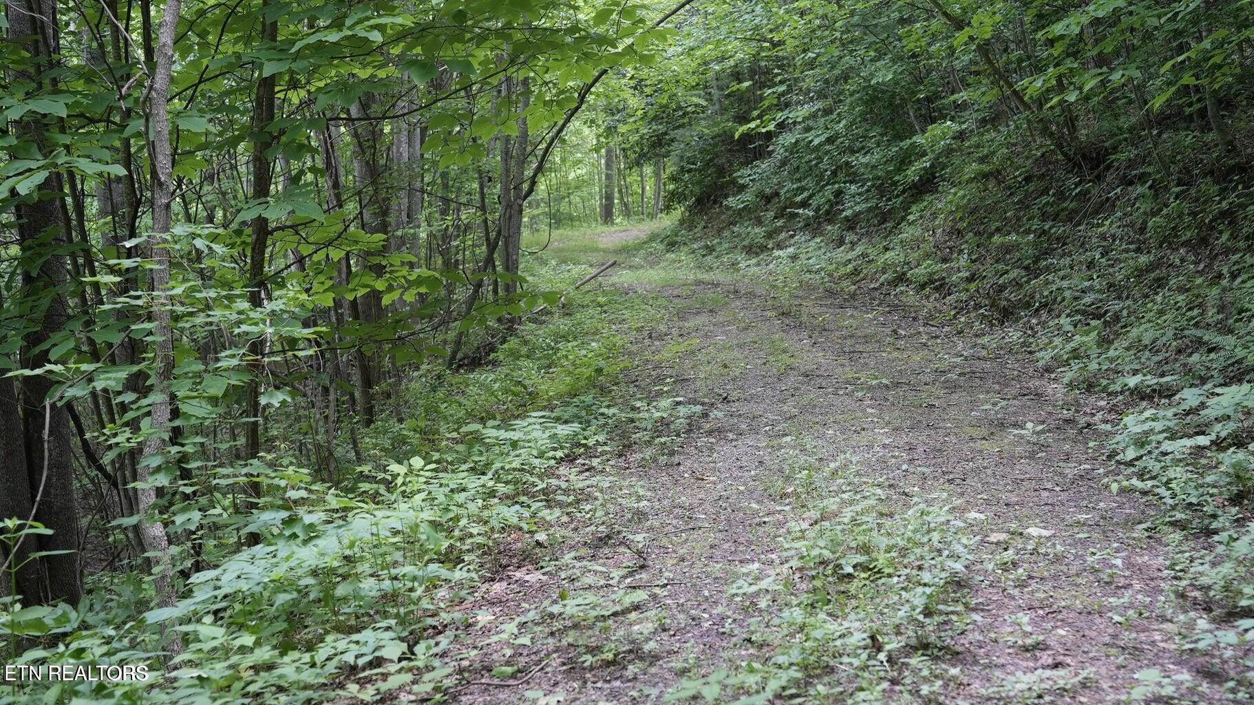 Gulf Road Hartford TN 37753