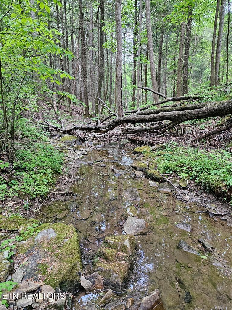 35309 Highland Ridge Trail Crawford TN 38554