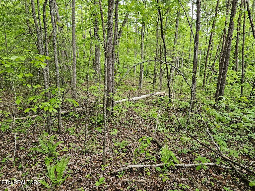 35309 Highland Ridge Trail Crawford TN 38554
