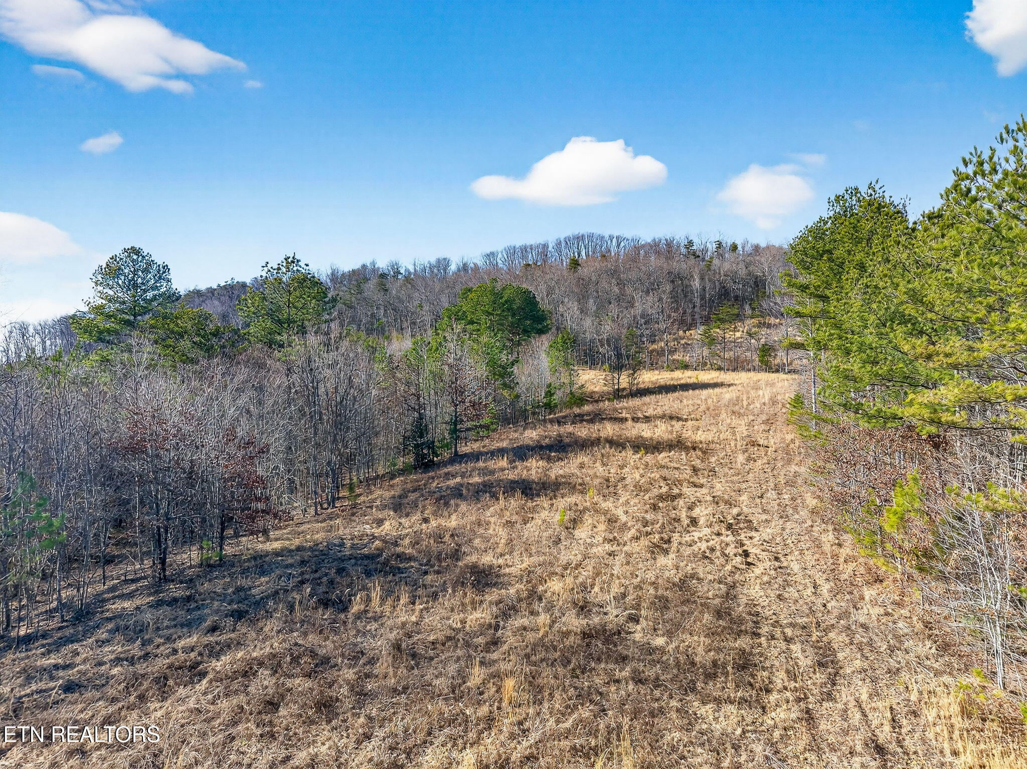 6.29 Acres Lowe Road Crossville TN 38572
