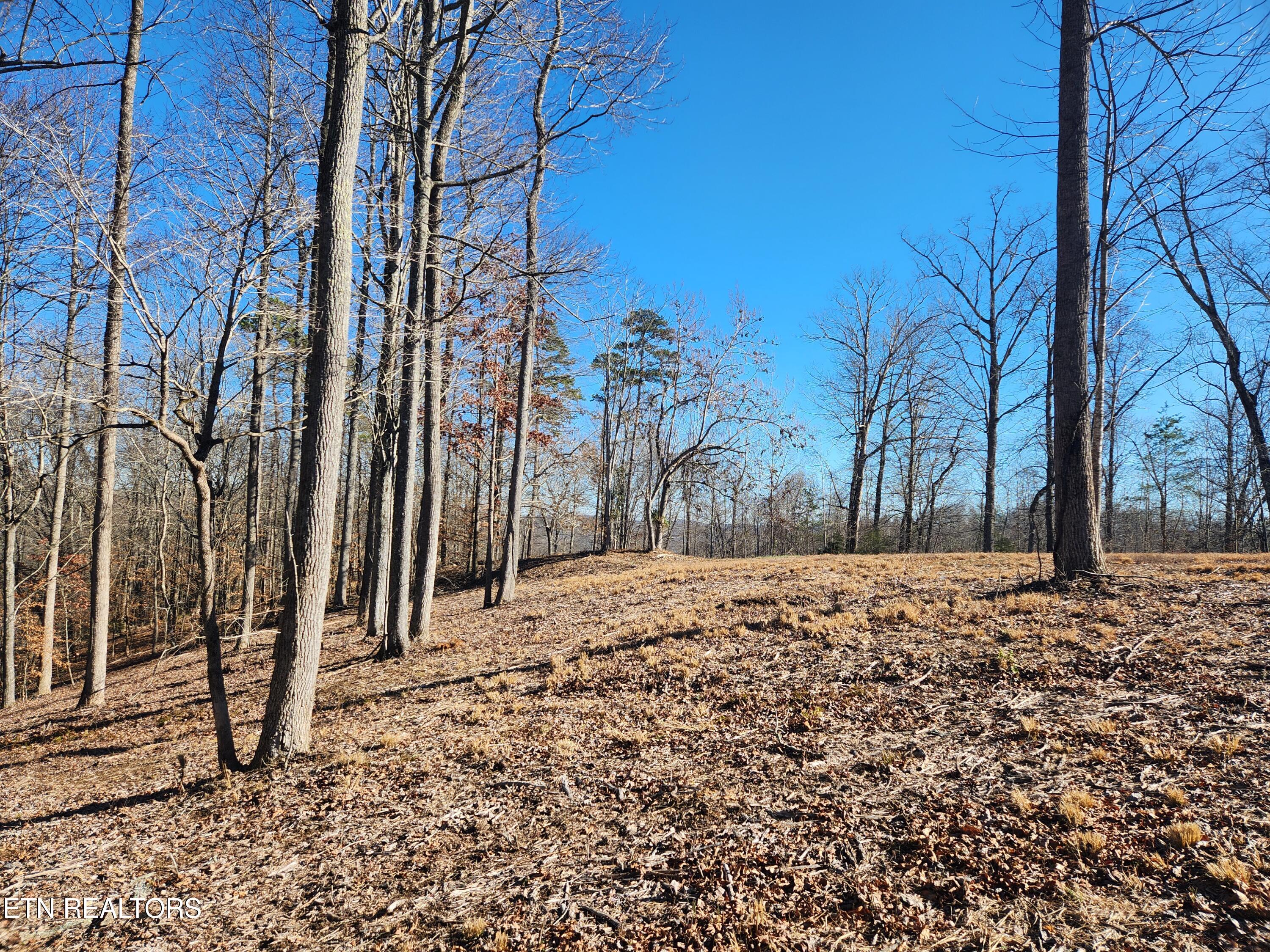 Lot 52 E Poplar Lane Lafollette TN 37766