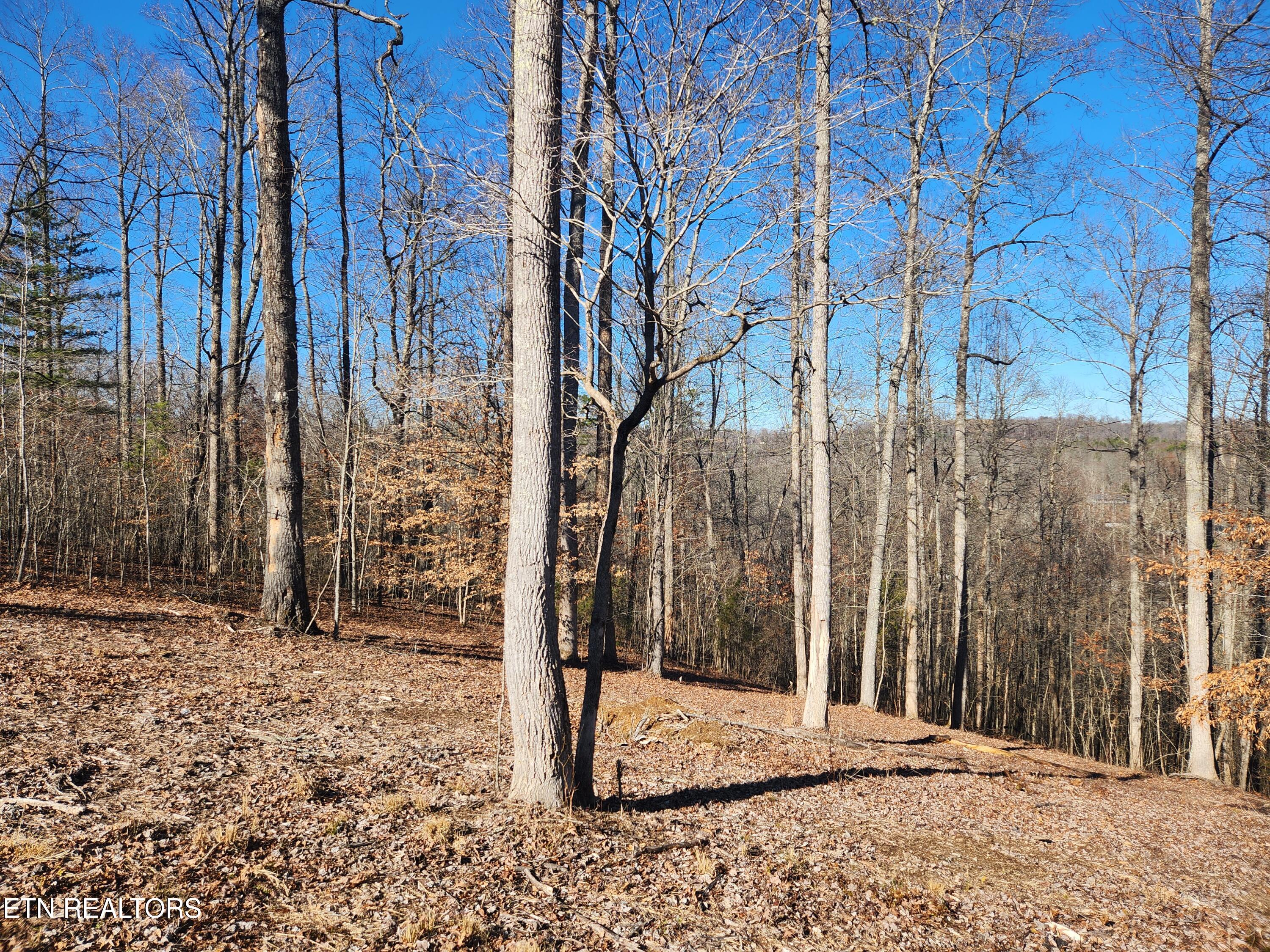Lot 52 E Poplar Lane Lafollette TN 37766