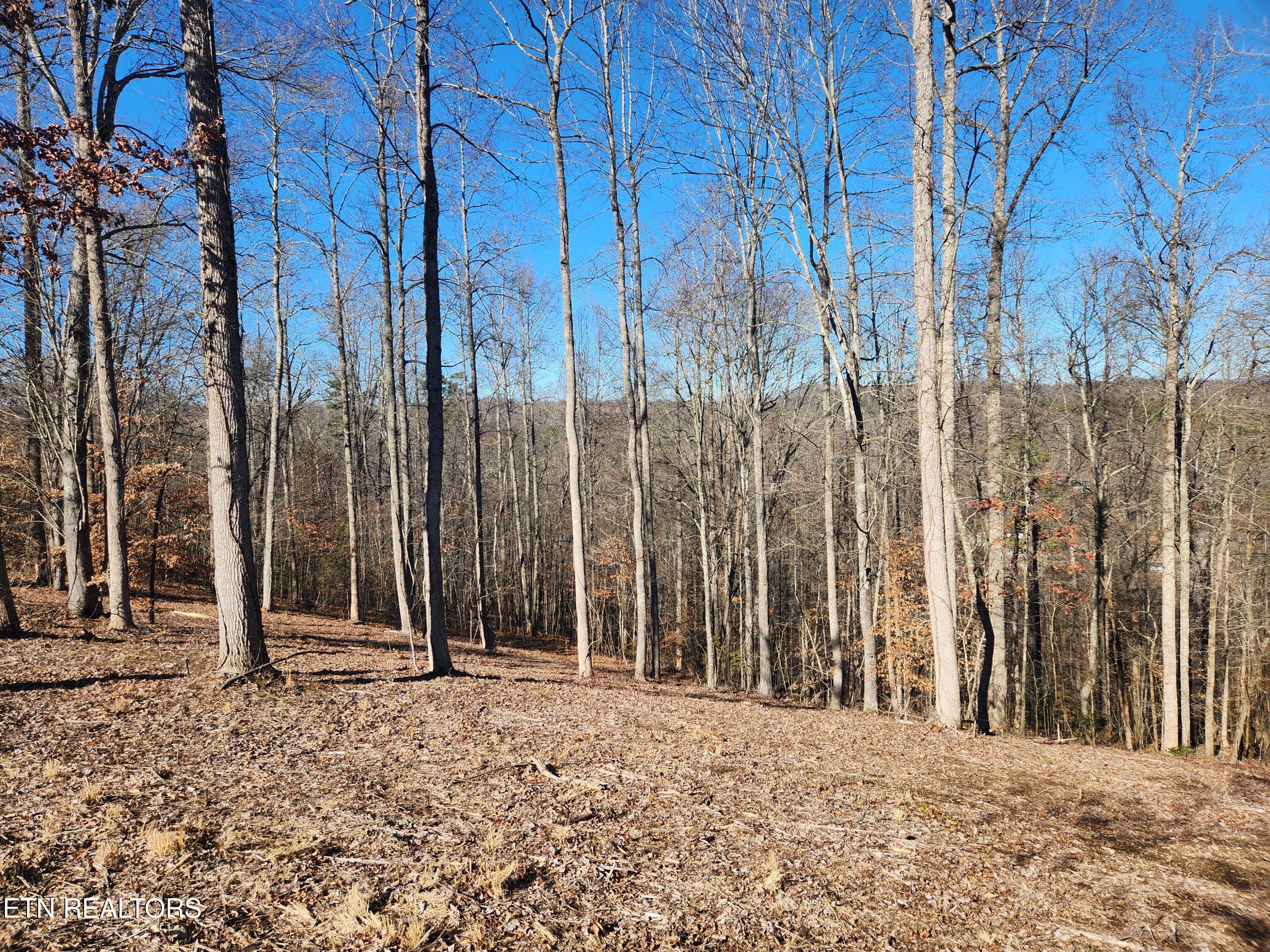 Lot 52 E Poplar Lane Lafollette TN 37766