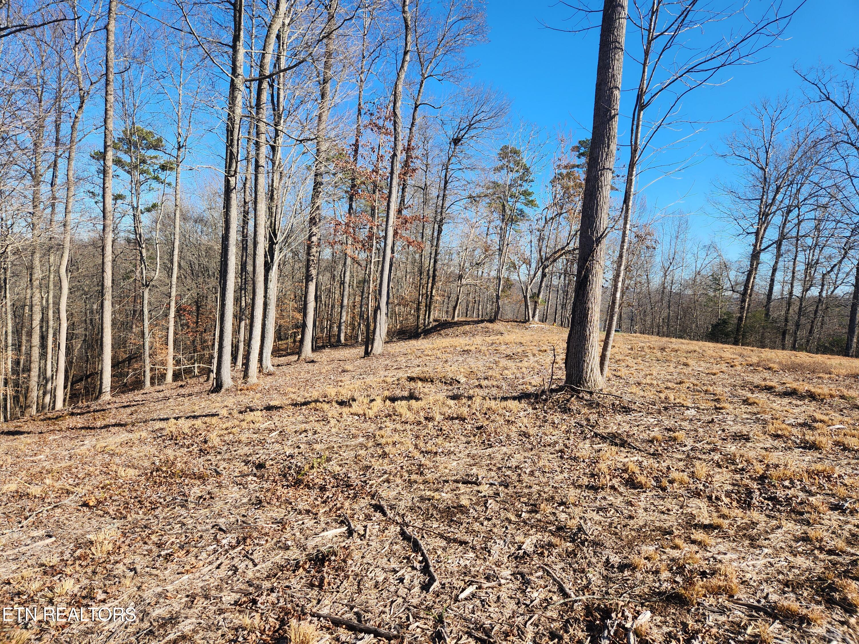 Lot 52 E Poplar Lane Lafollette TN 37766