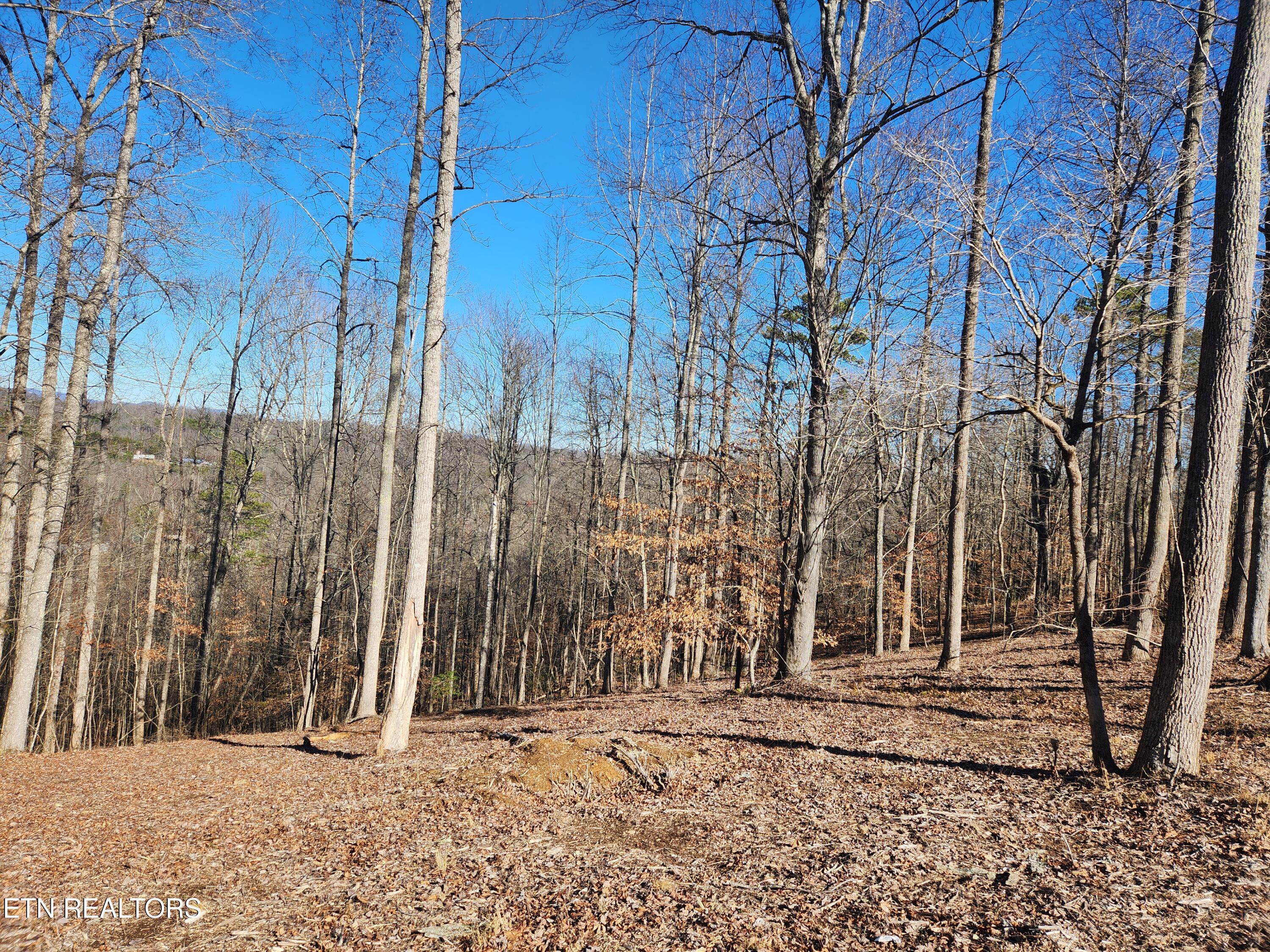 Lot 52 E Poplar Lane Lafollette TN 37766