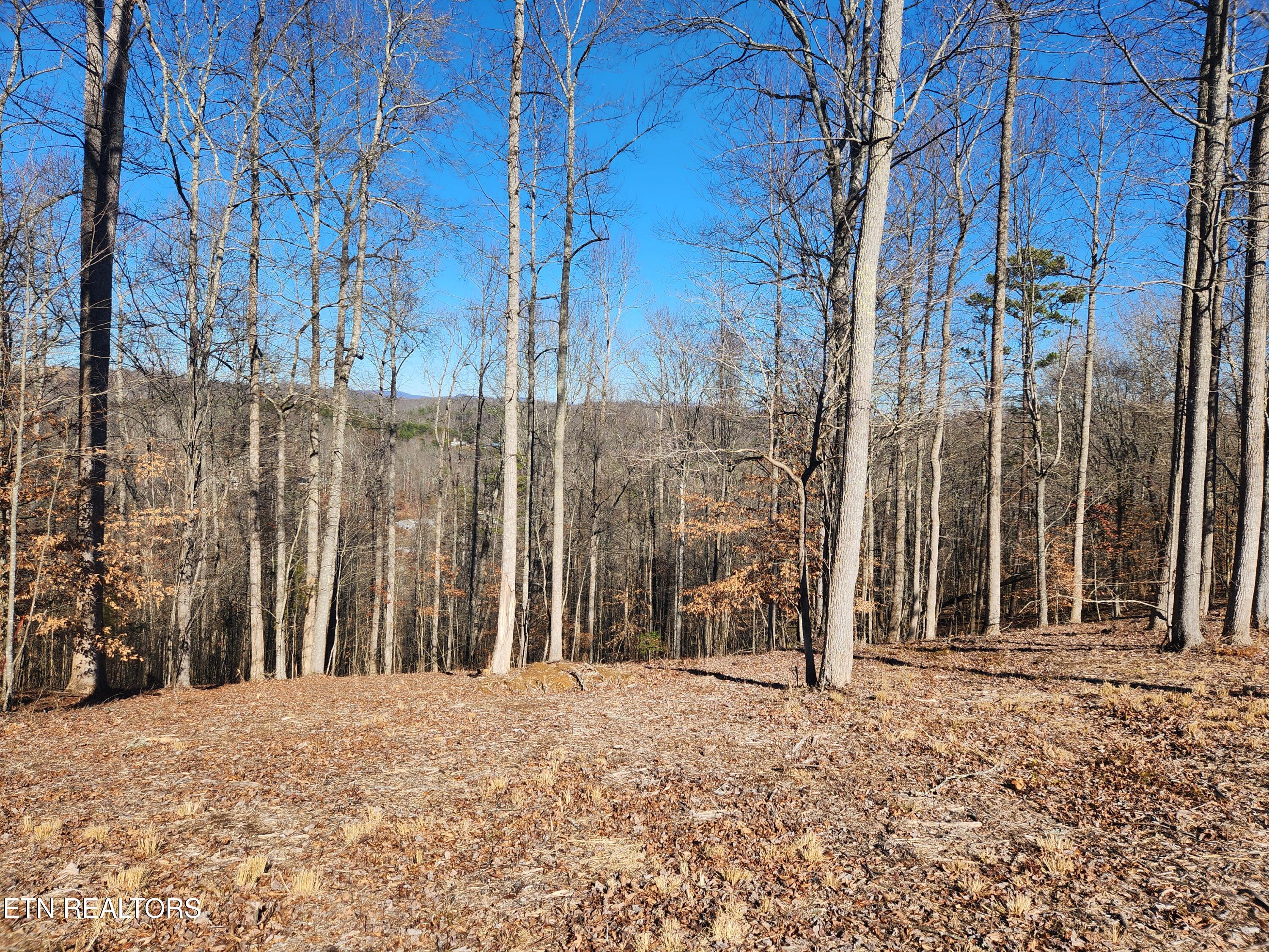 Lot 52 E Poplar Lane Lafollette TN 37766
