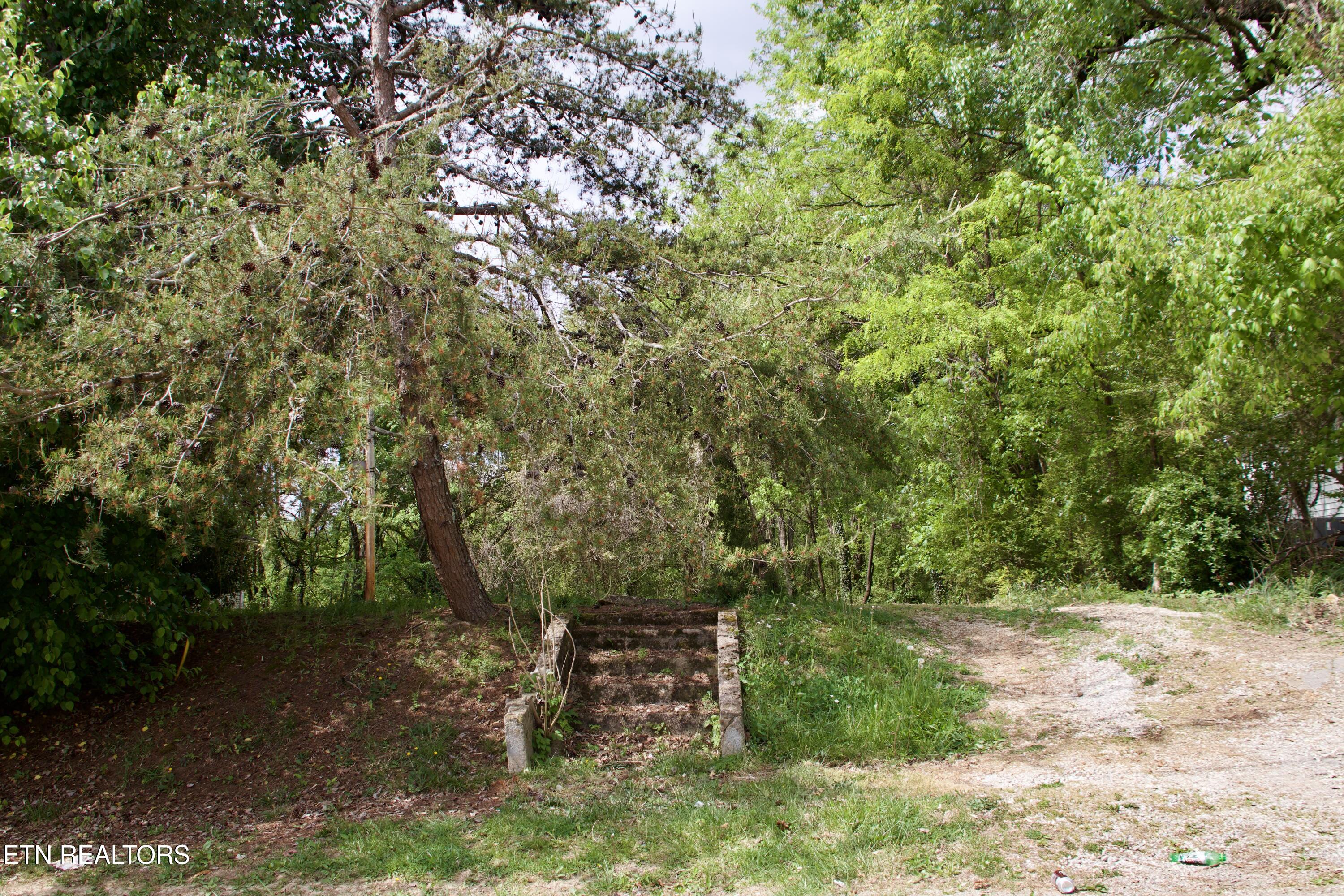 141 Nevada Avenue Lafollette TN 37766