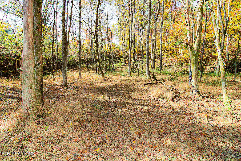 0 Sweetwater Vonore Road Sweetwater TN 37874