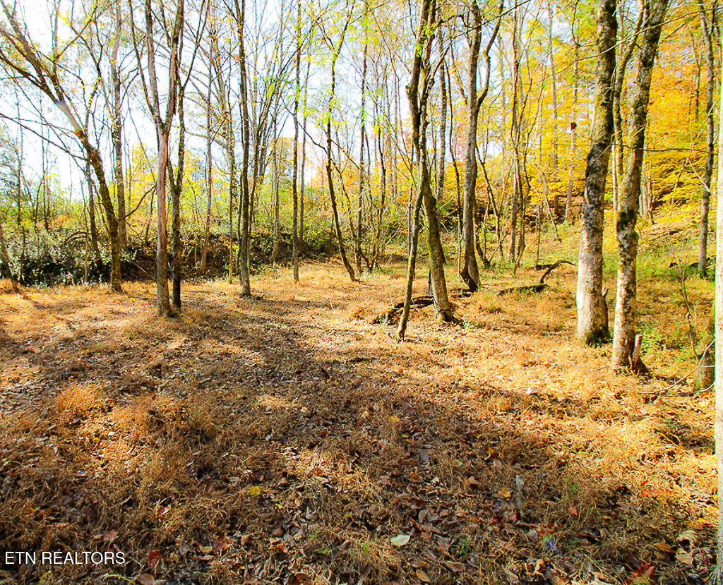 0 Sweetwater Vonore Road Sweetwater TN 37874