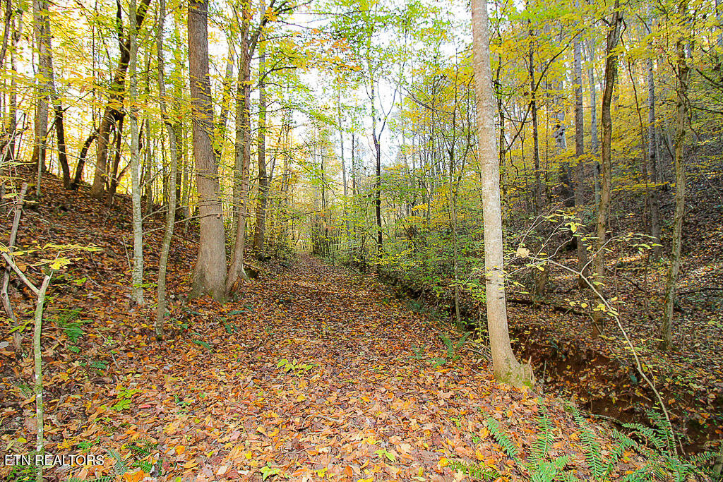 0 Sweetwater Vonore Road Sweetwater TN 37874