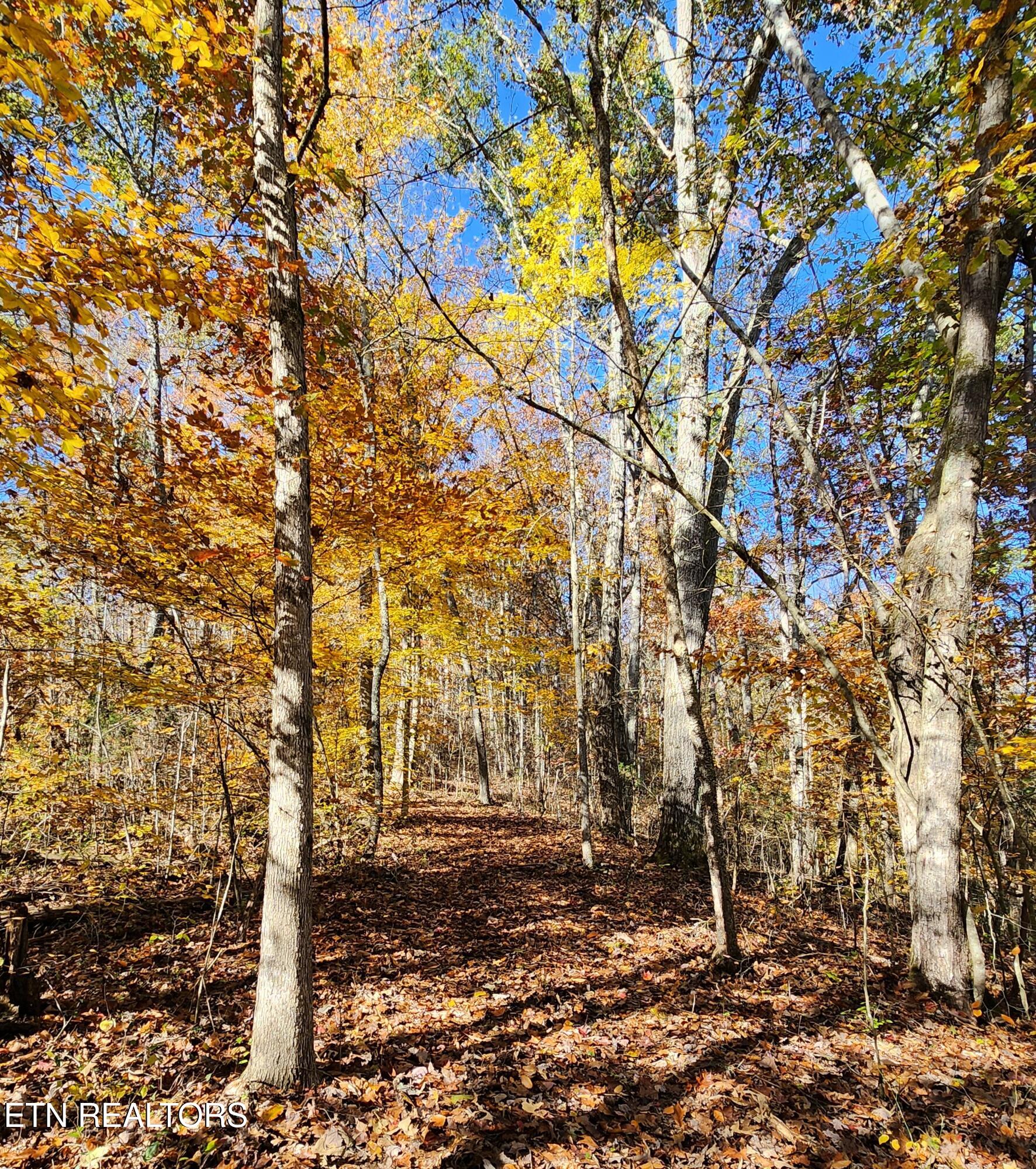 0 Sweetwater Vonore Road Sweetwater TN 37874