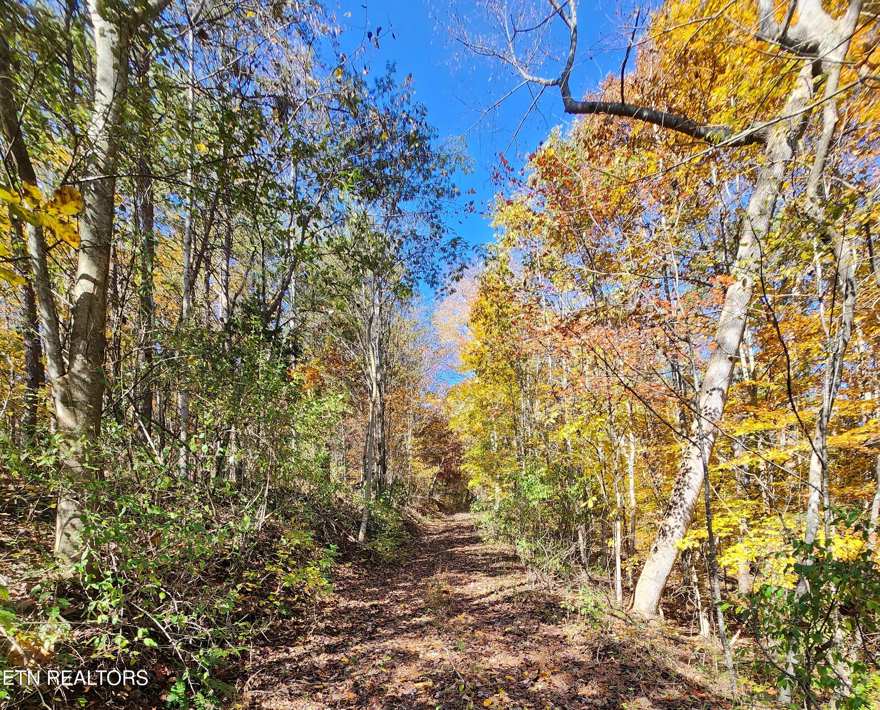 0 Sweetwater Vonore Road Sweetwater TN 37874