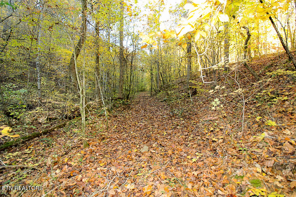 0 Sweetwater Vonore Road Sweetwater TN 37874
