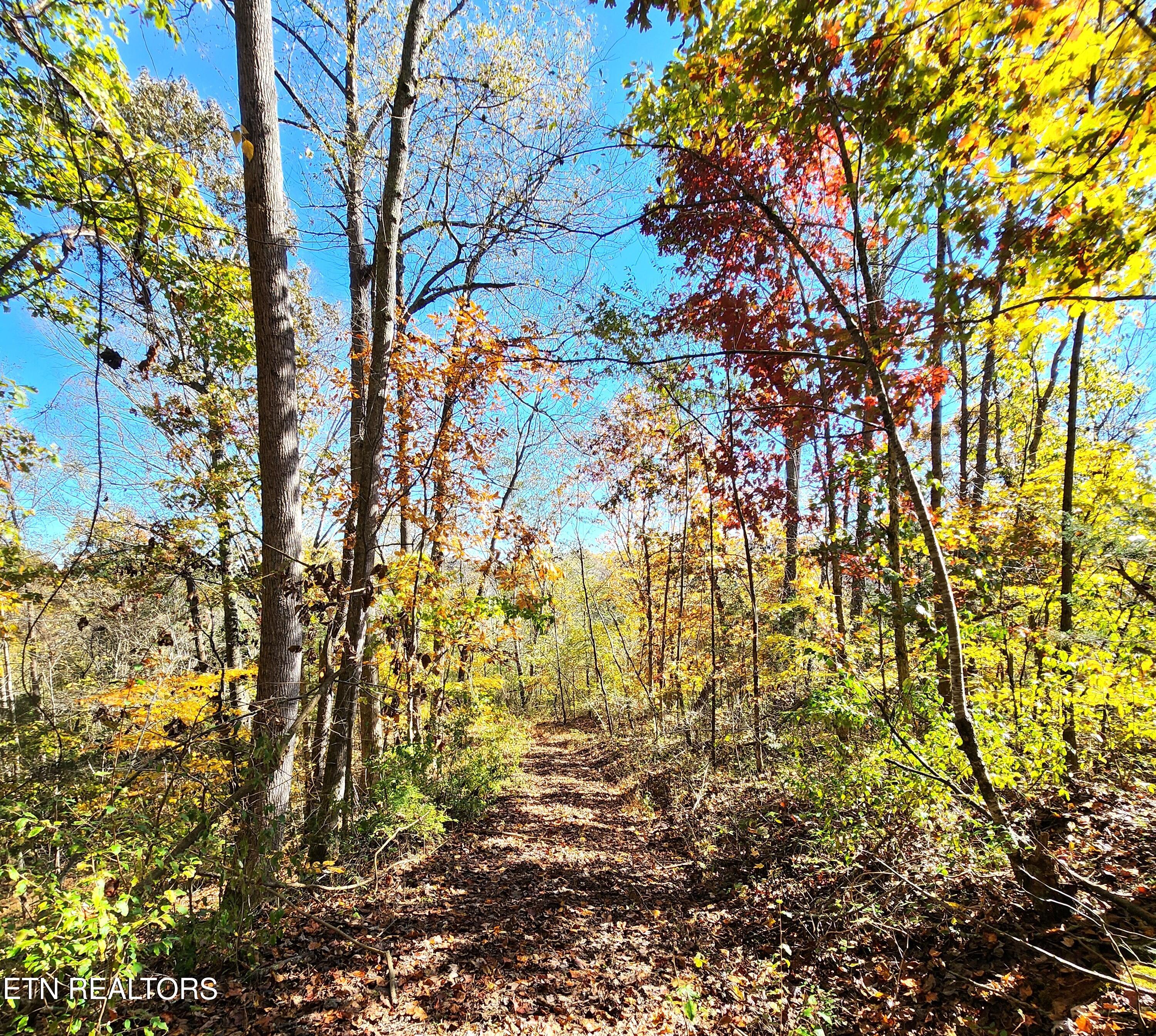 0 Sweetwater Vonore Road Sweetwater TN 37874