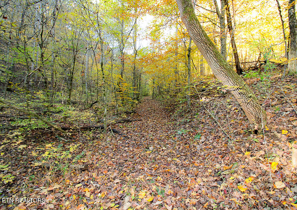 0 Sweetwater Vonore Road Sweetwater TN 37874