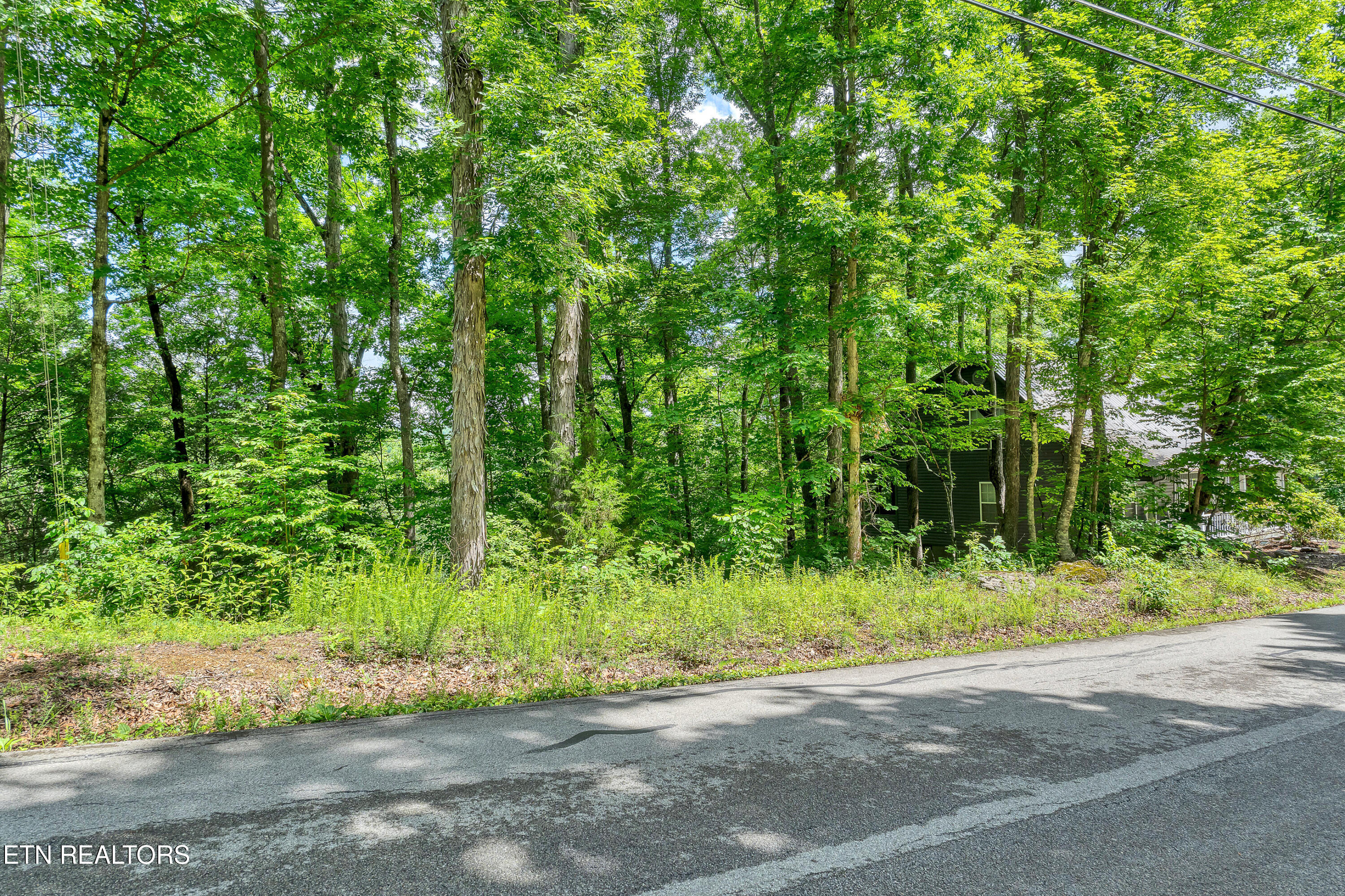 424 Laurel Road Townsend TN 37882