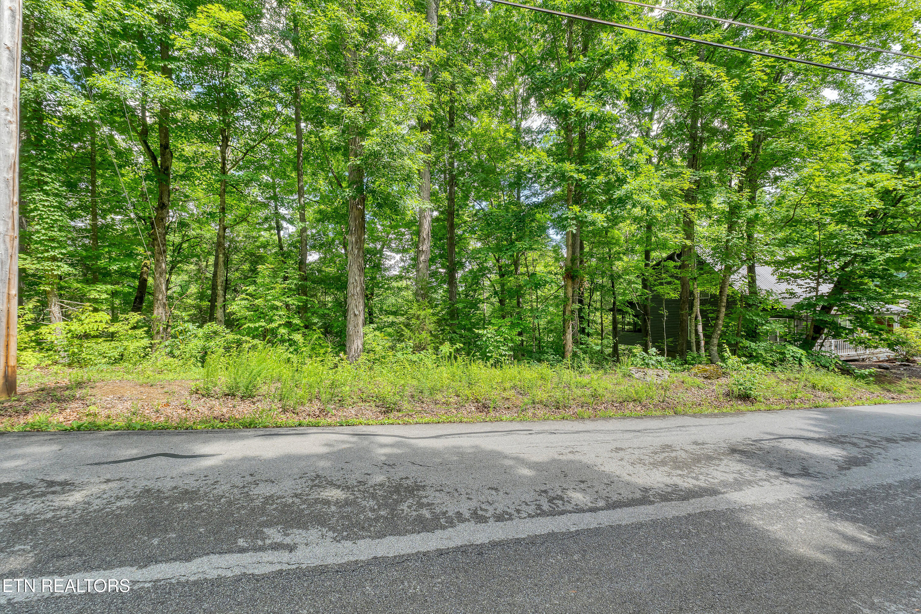 424 Laurel Road Townsend TN 37882