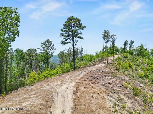 Hatcher Mtn Road Sevierville TN 37862