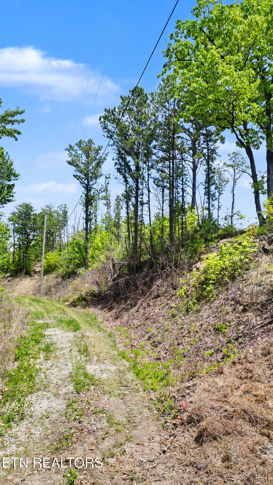 Hatcher Mtn Road Sevierville TN 37862