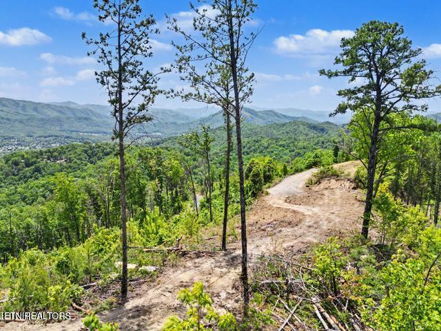 Hatcher Mtn Road Sevierville TN 37862