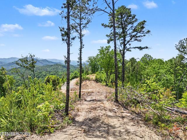 Hatcher Mtn Road Sevierville TN 37862