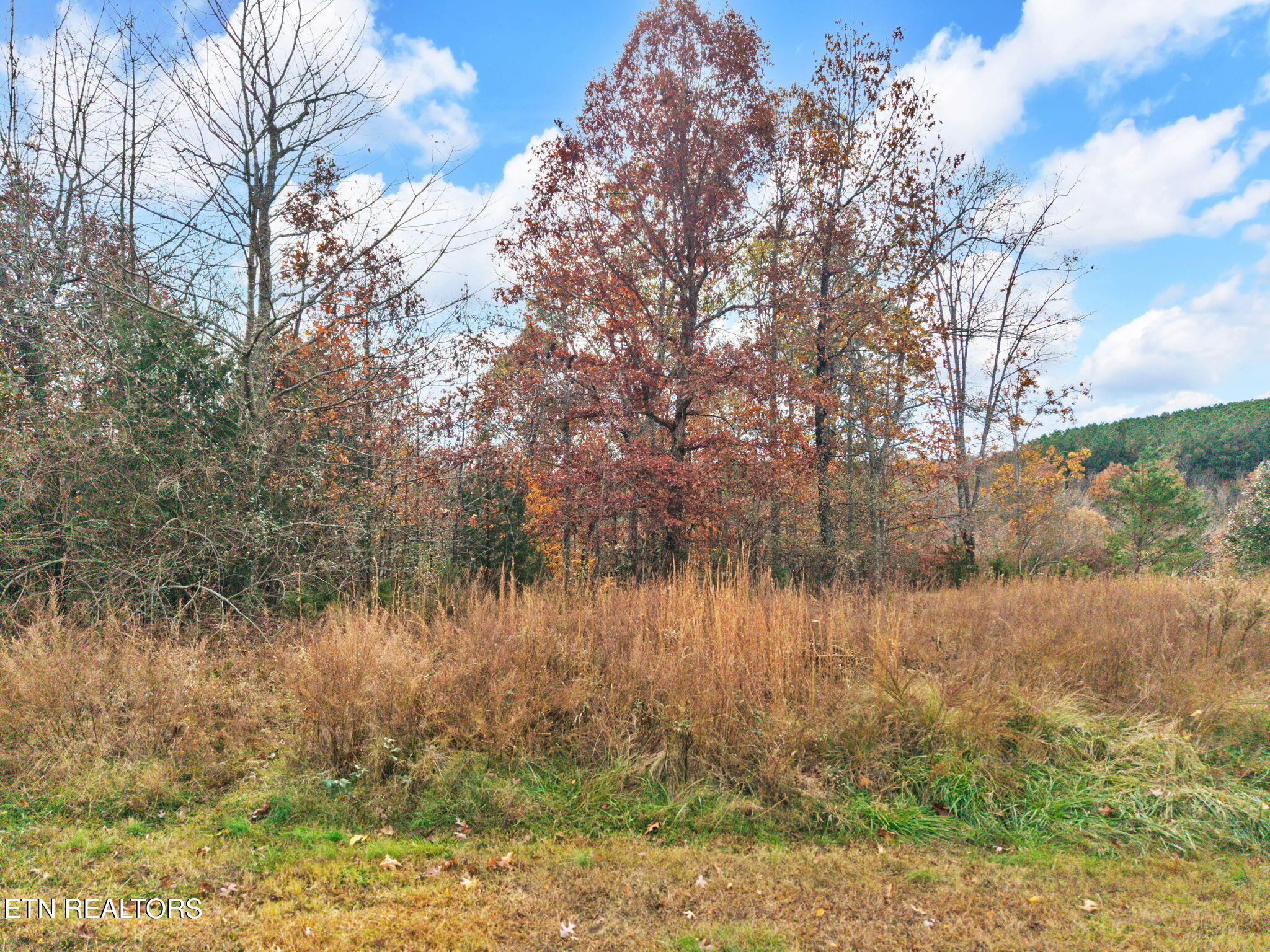 Emerald Pointe Circle Rockwood TN 37854