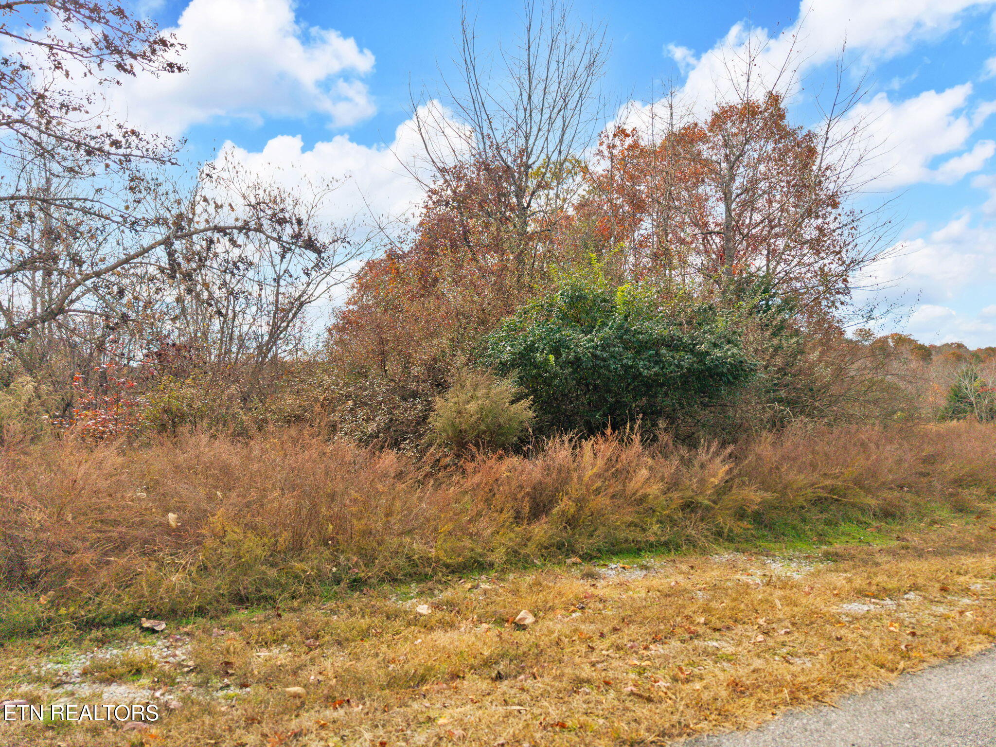 Emerald Pointe Circle Rockwood TN 37854