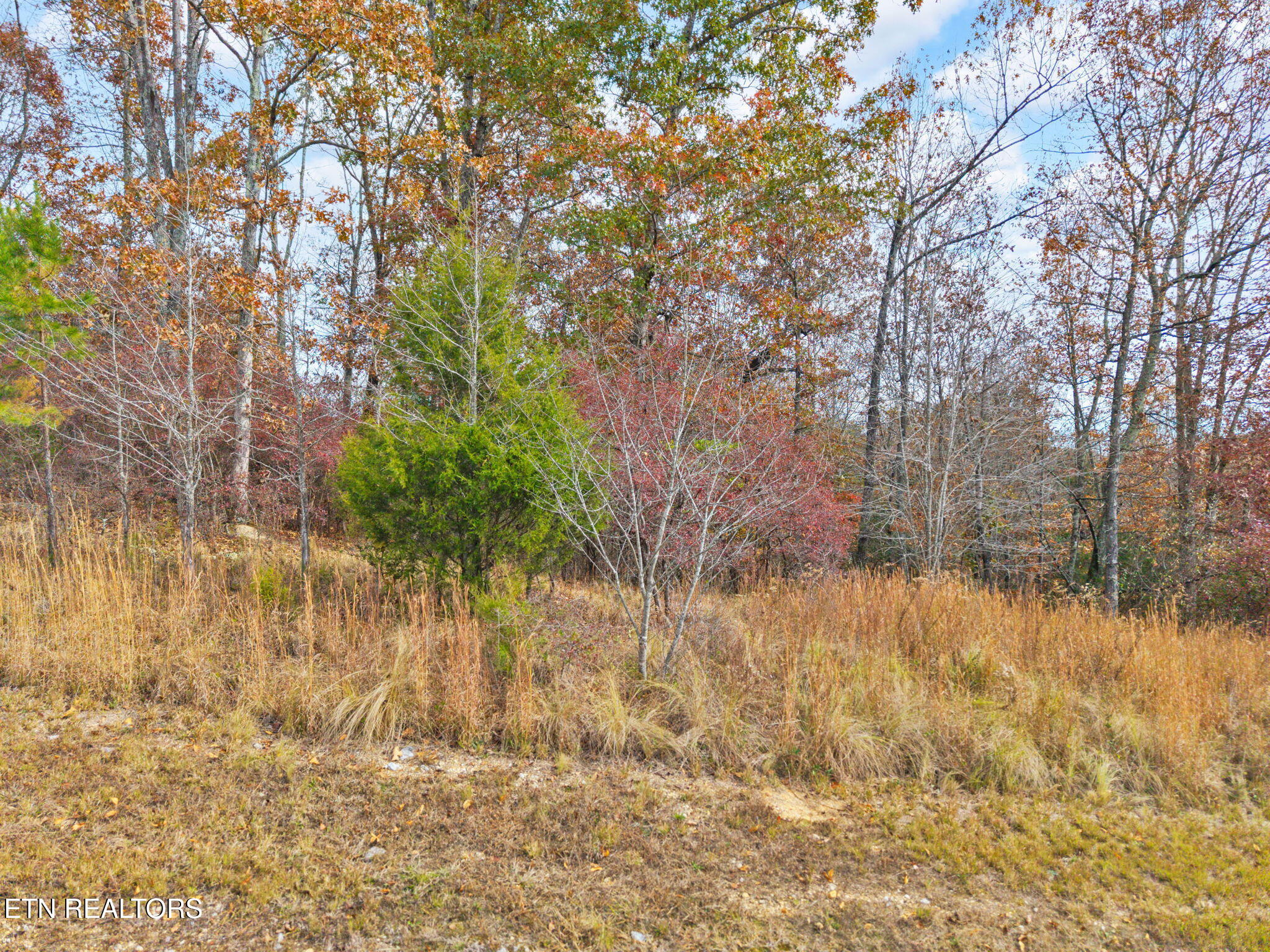 Emerald Pointe Circle Rockwood TN 37854